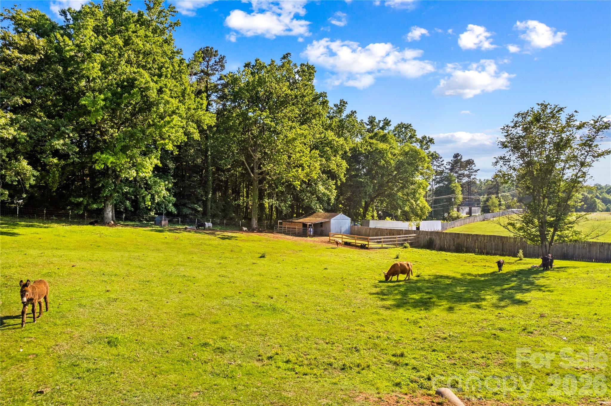 1124 Majolica Road — Salisbury