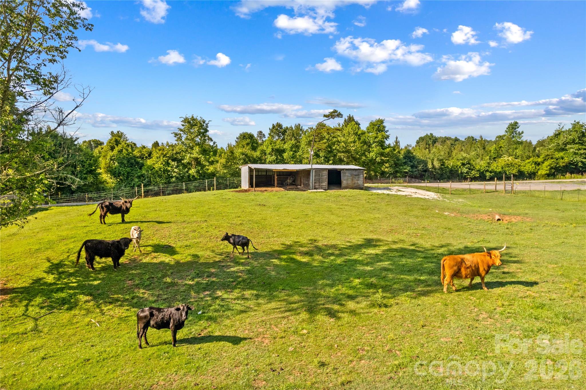 1124 Majolica Road — Salisbury