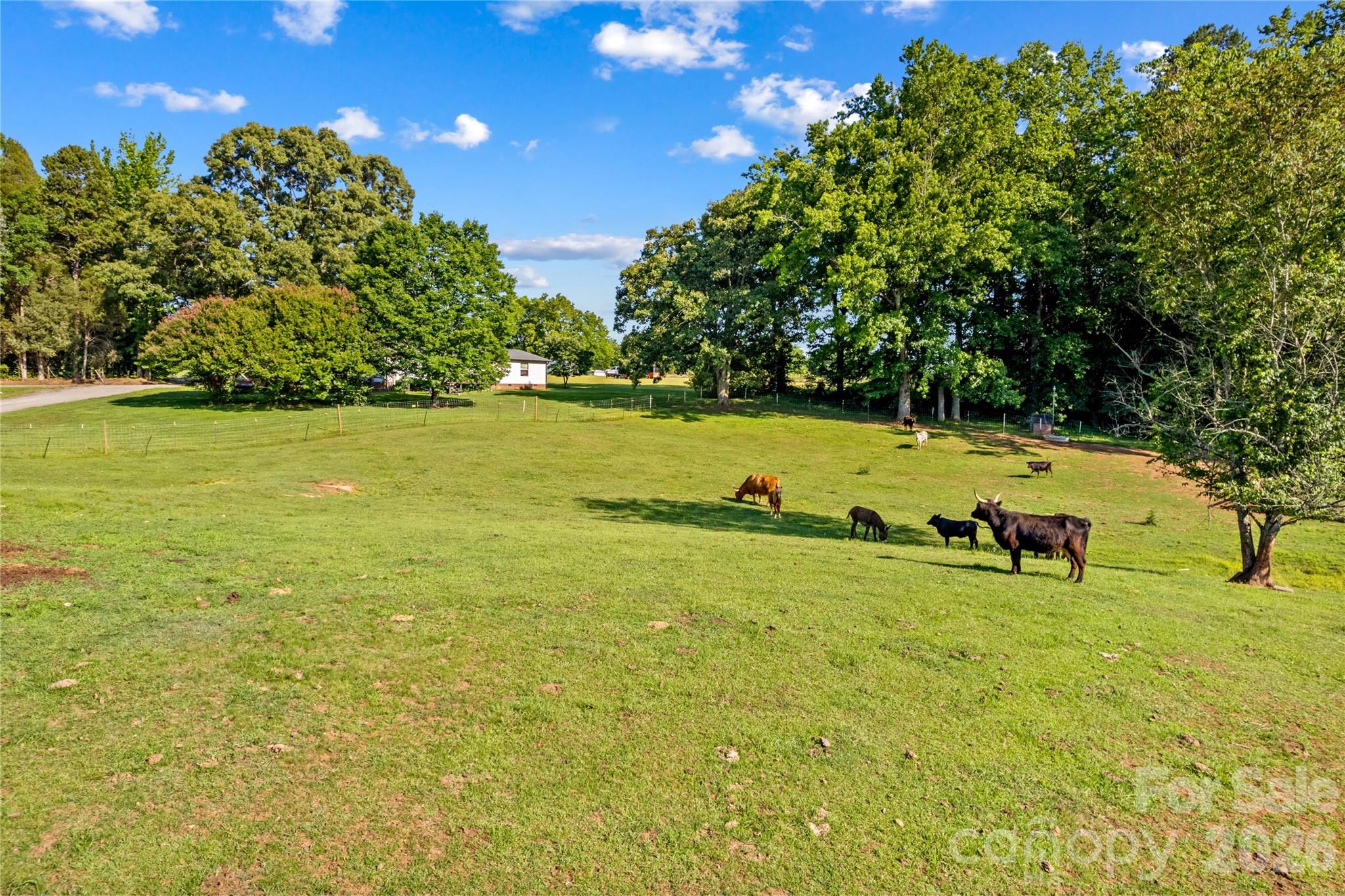 1124 Majolica Road — Salisbury