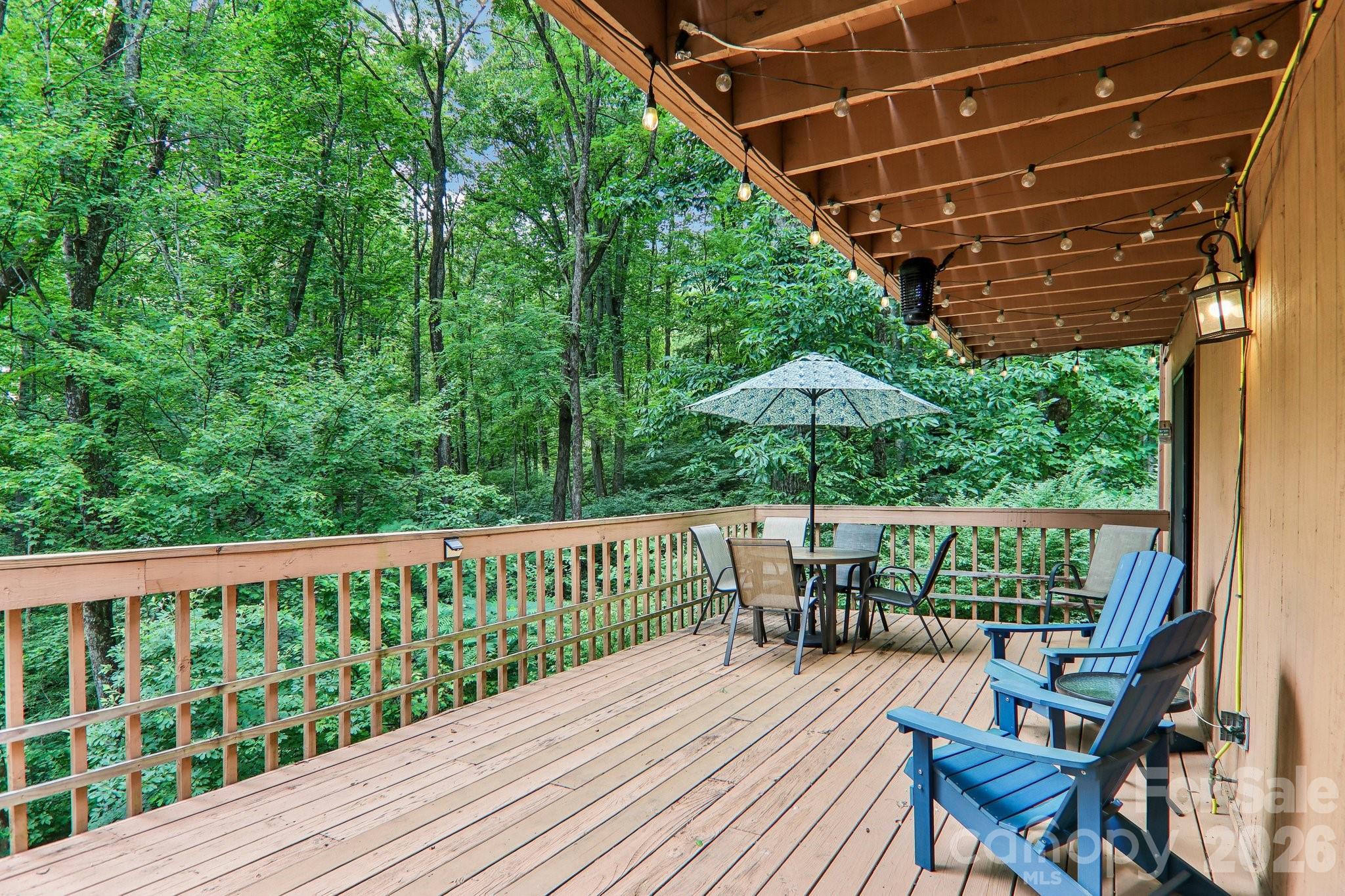 125 Nugget Lane — Sylva