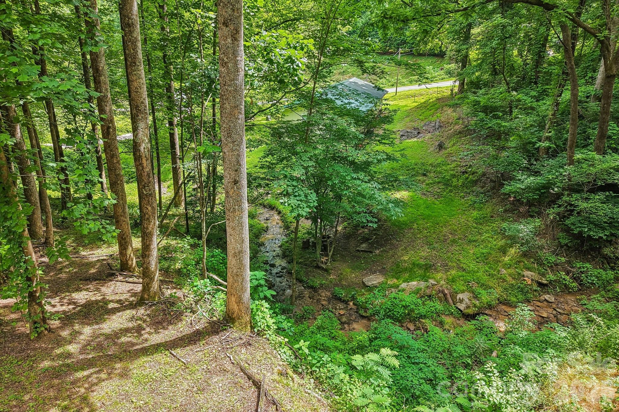 125 Nugget Lane — Sylva