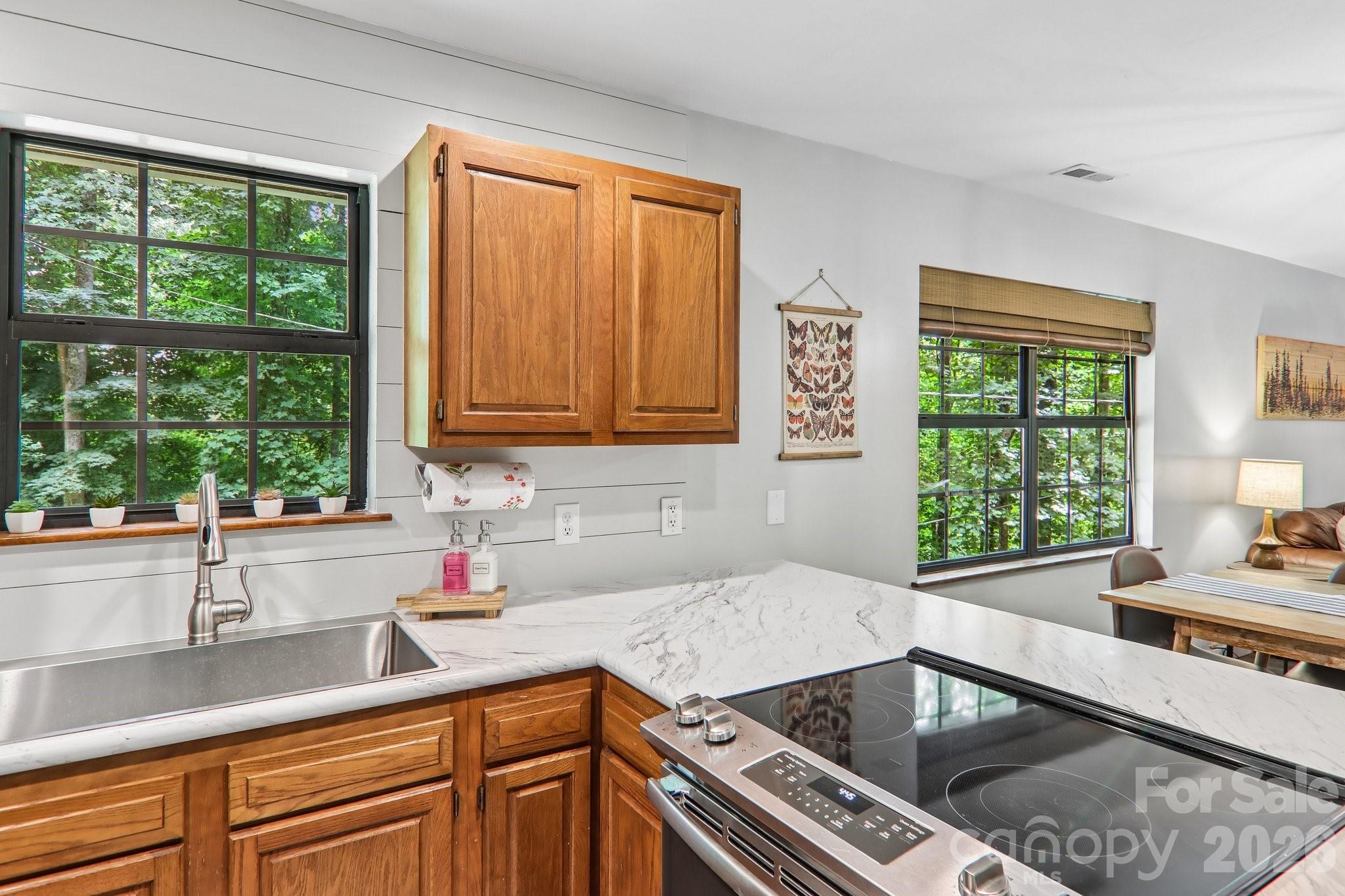 125 Nugget Lane — Sylva