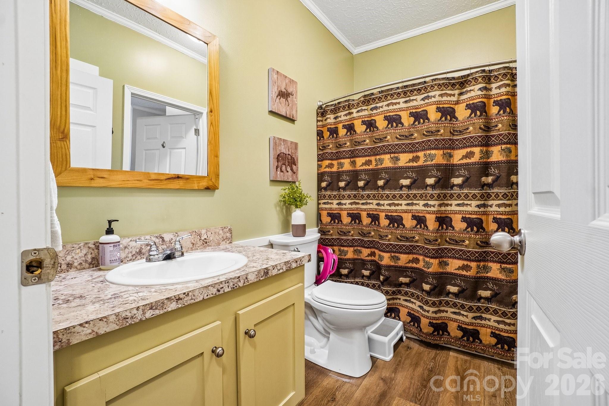 51 Hermit Springs Trail — Hendersonville