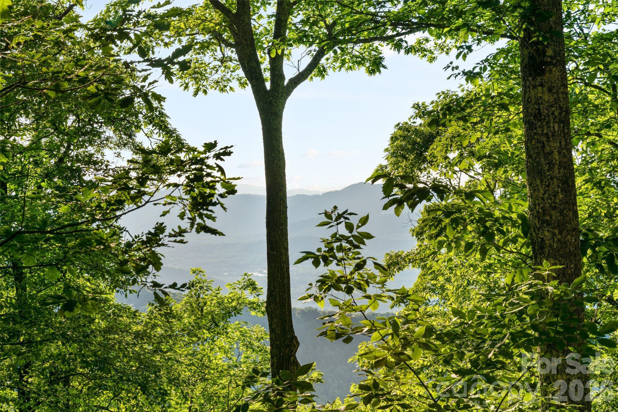 108 Flame Azalea Drive — Swannanoa