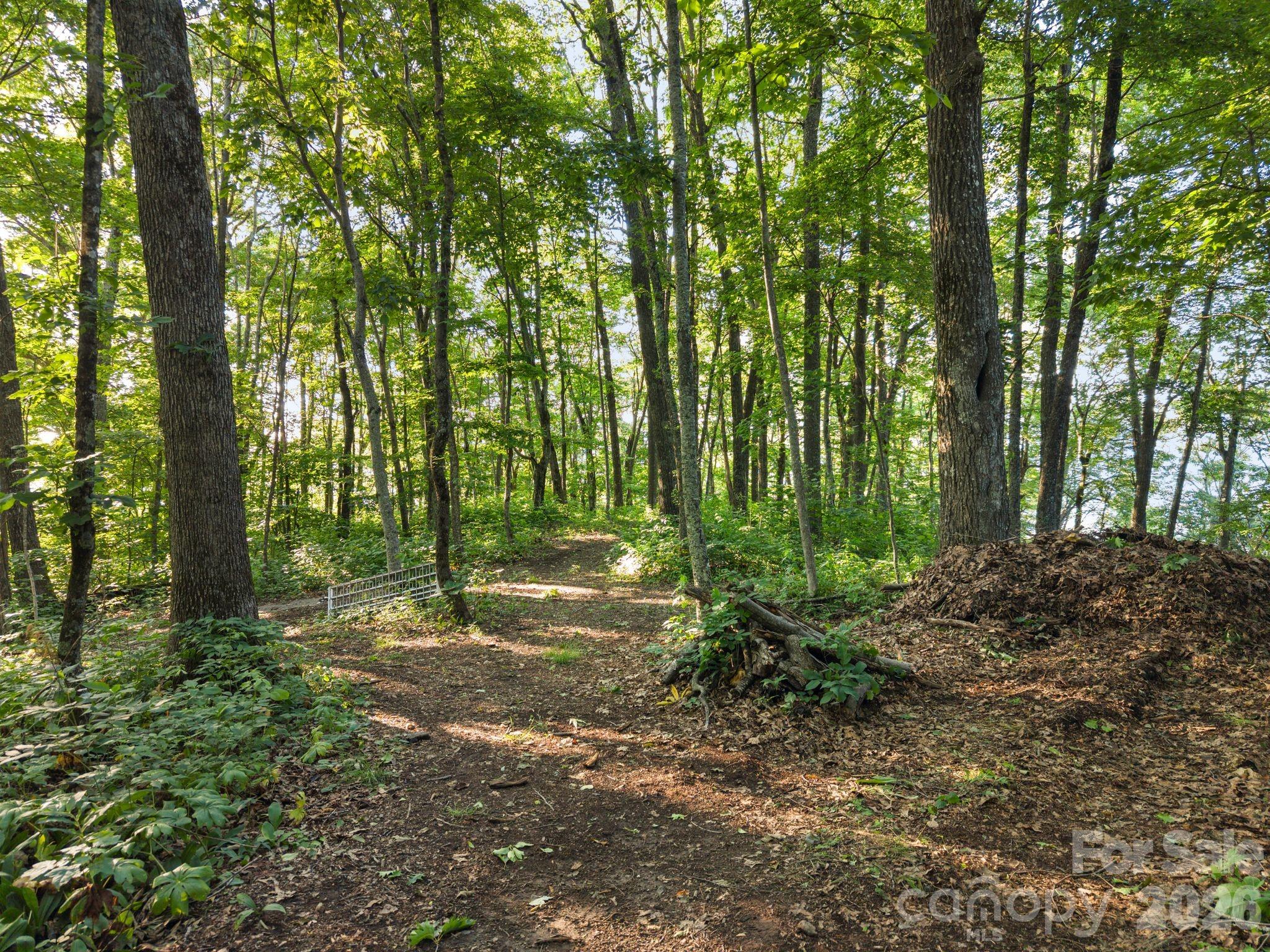 108 Flame Azalea Drive — Swannanoa