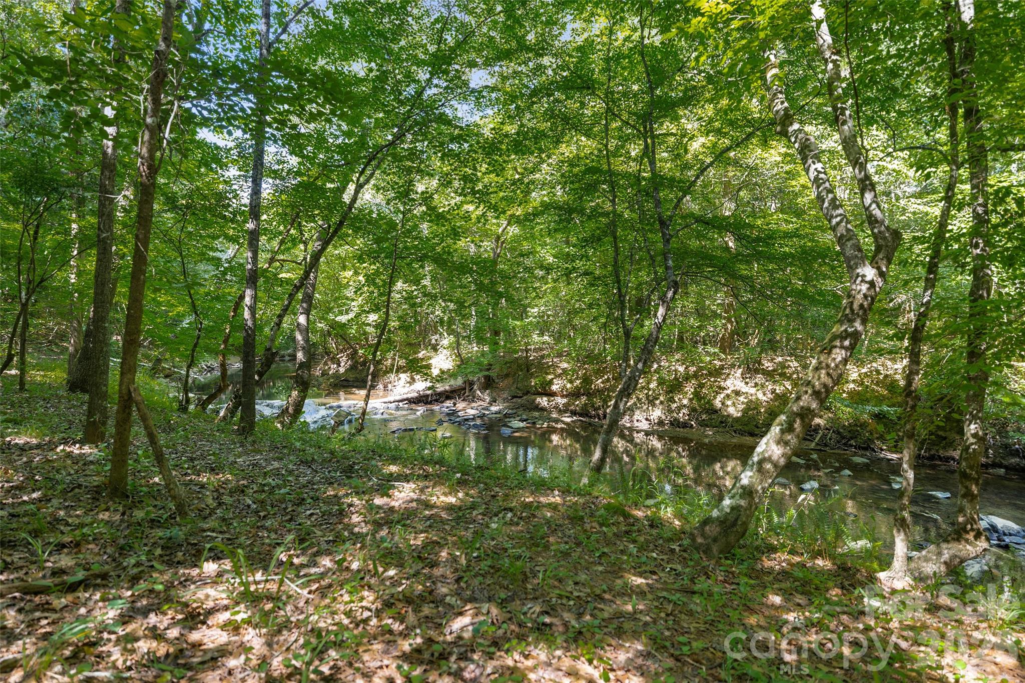 5201 Cressingham Drive — Indian Land