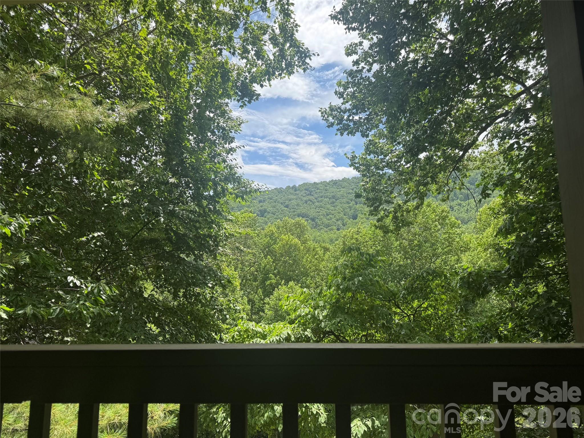 840 Stoney Stream Lane — Arden