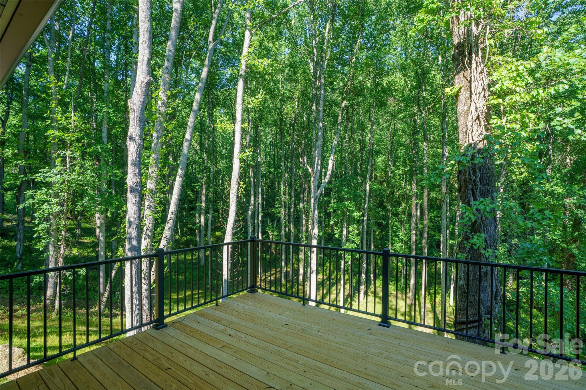 61 Bamboo Trail — Candler