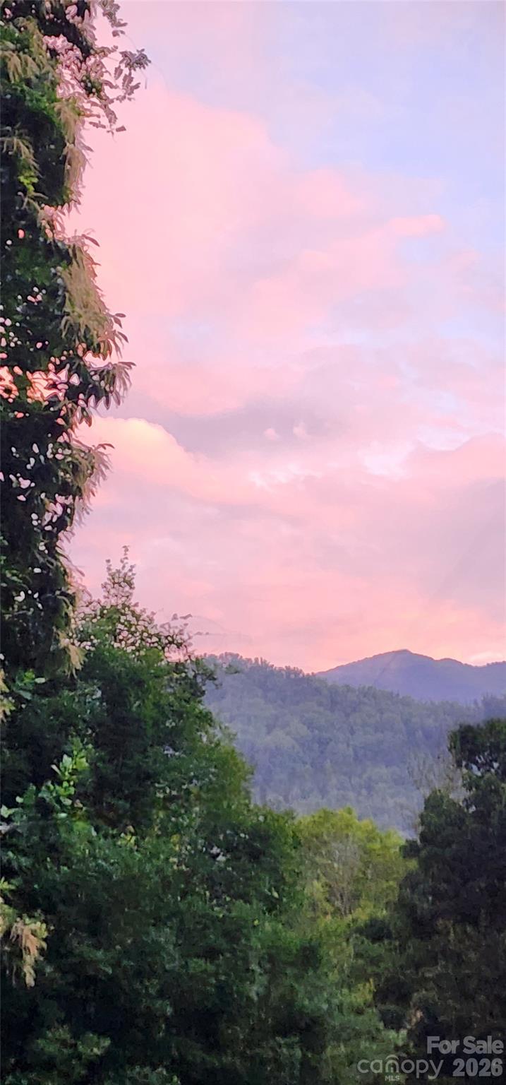 583 Dark Ridge Road — Sylva