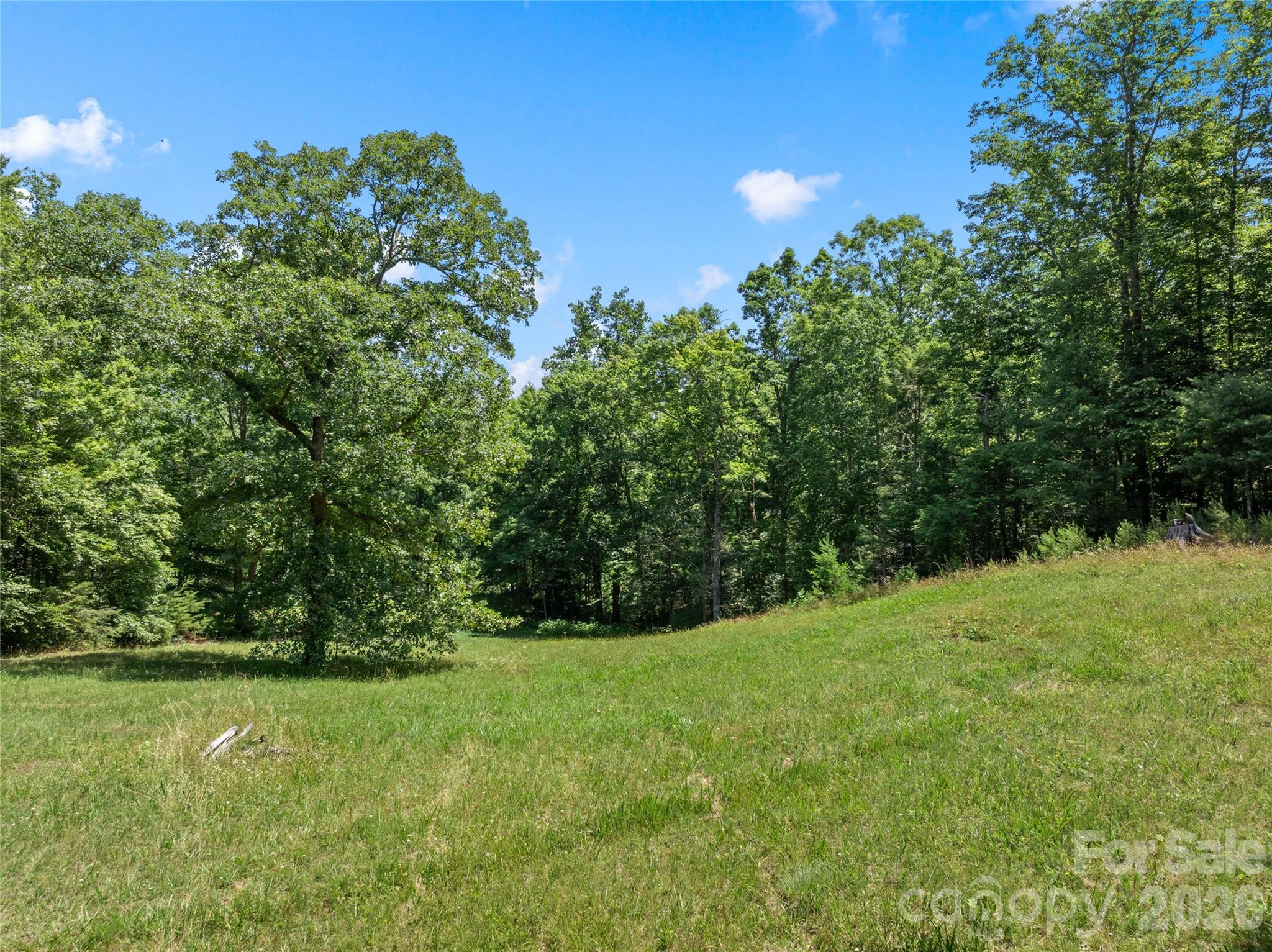 563 Burgess Road — Mill Spring