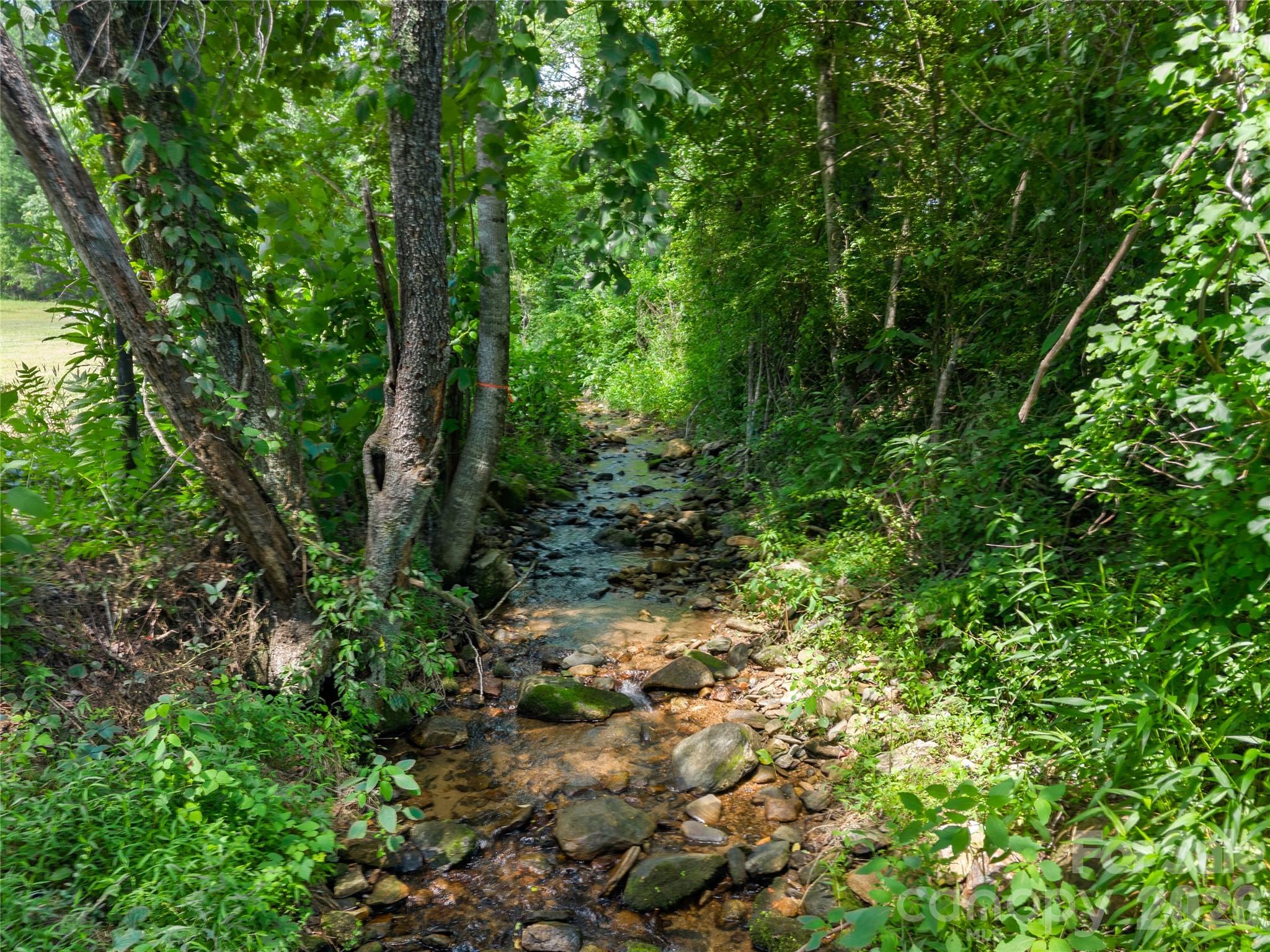 563 Burgess Road — Mill Spring