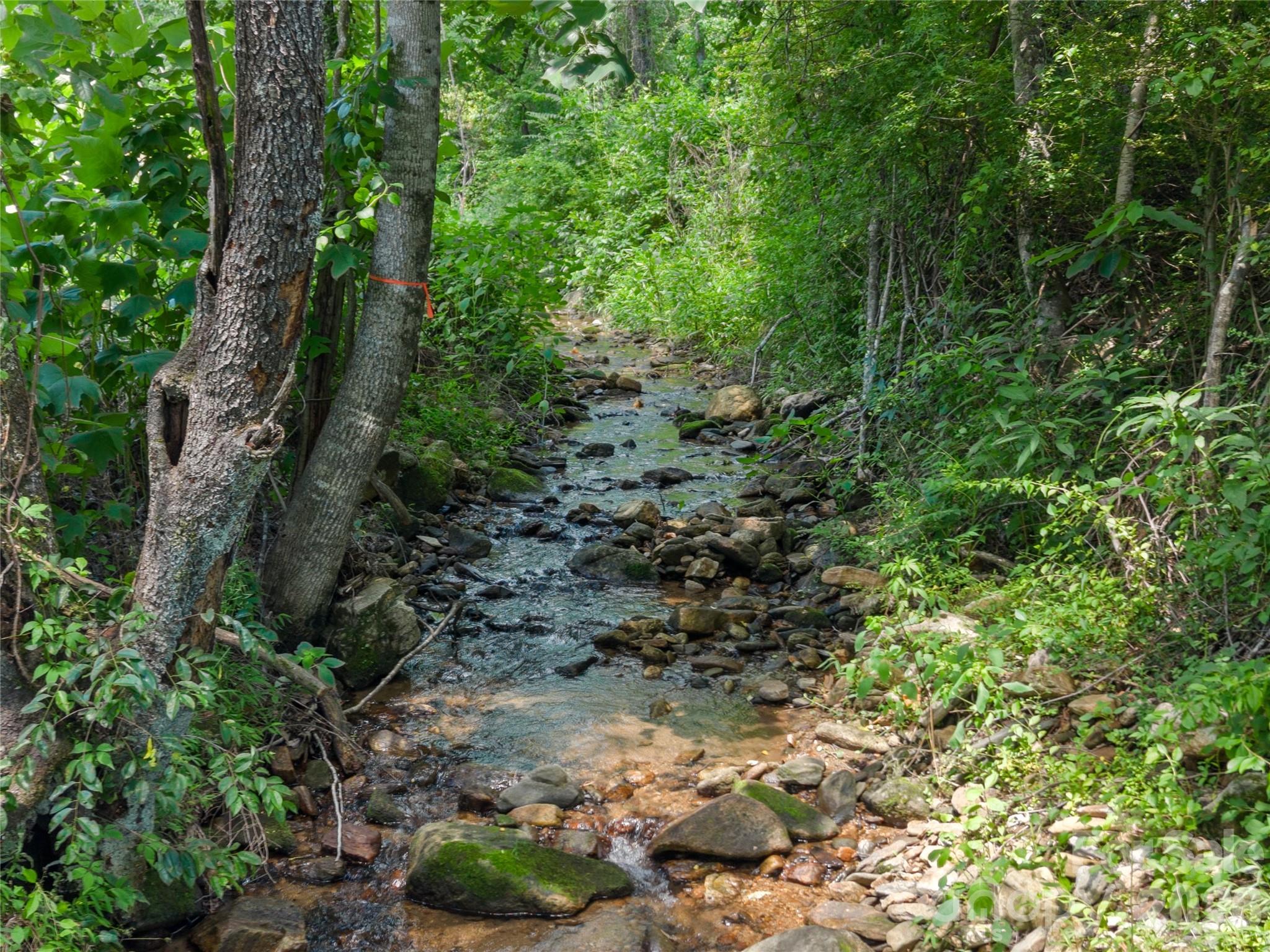 563 Burgess Road — Mill Spring