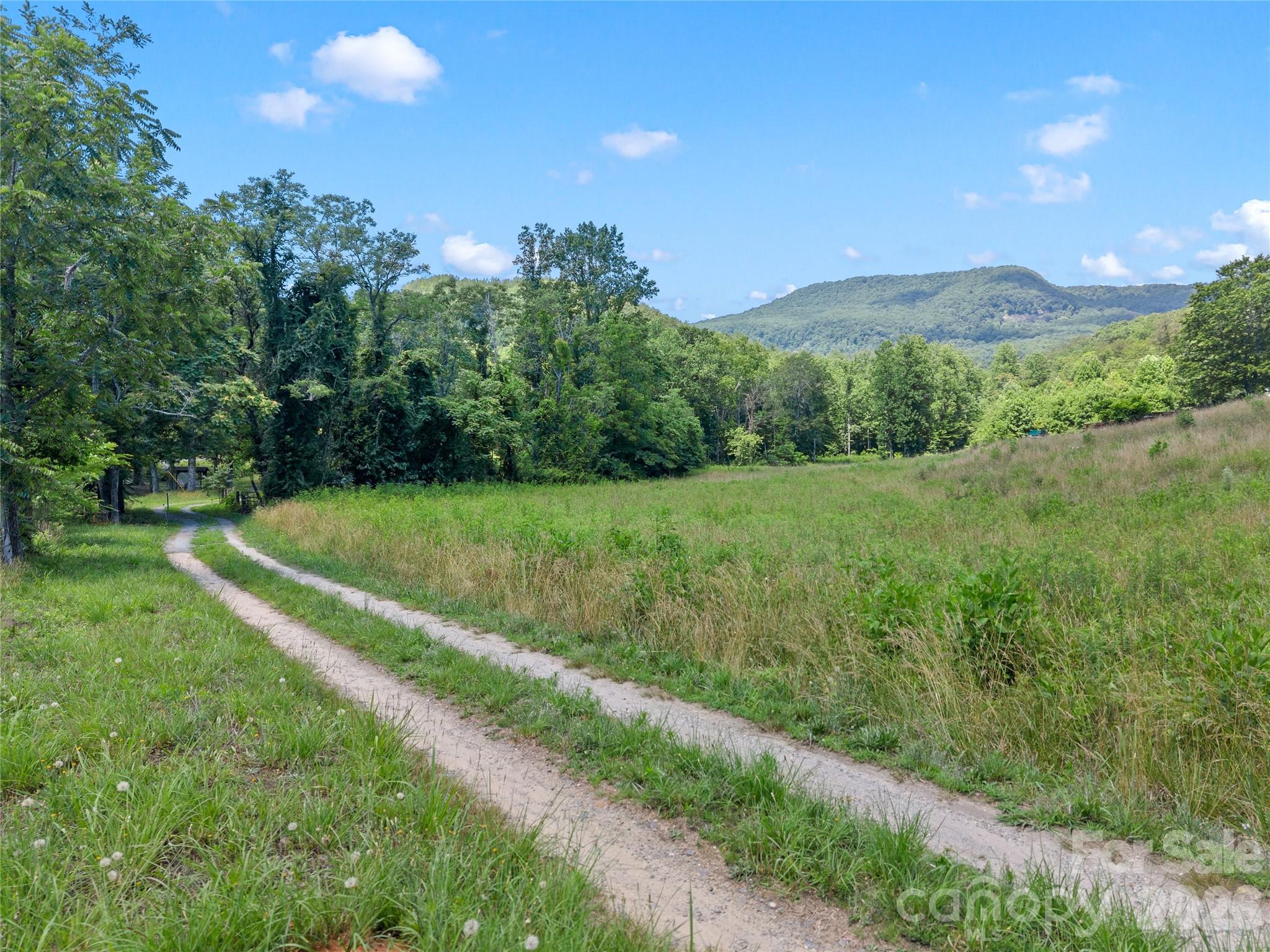 563 Burgess Road — Mill Spring