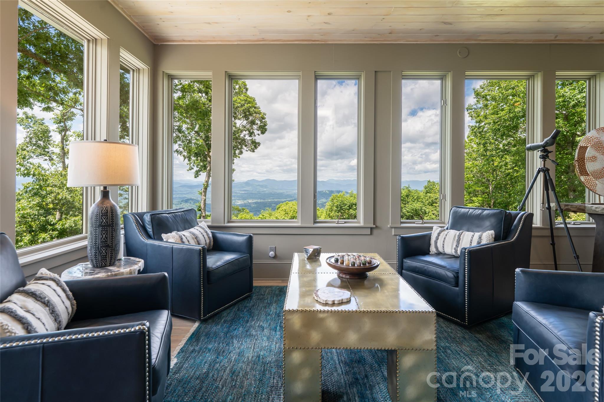 145 Kalmia Drive — Asheville