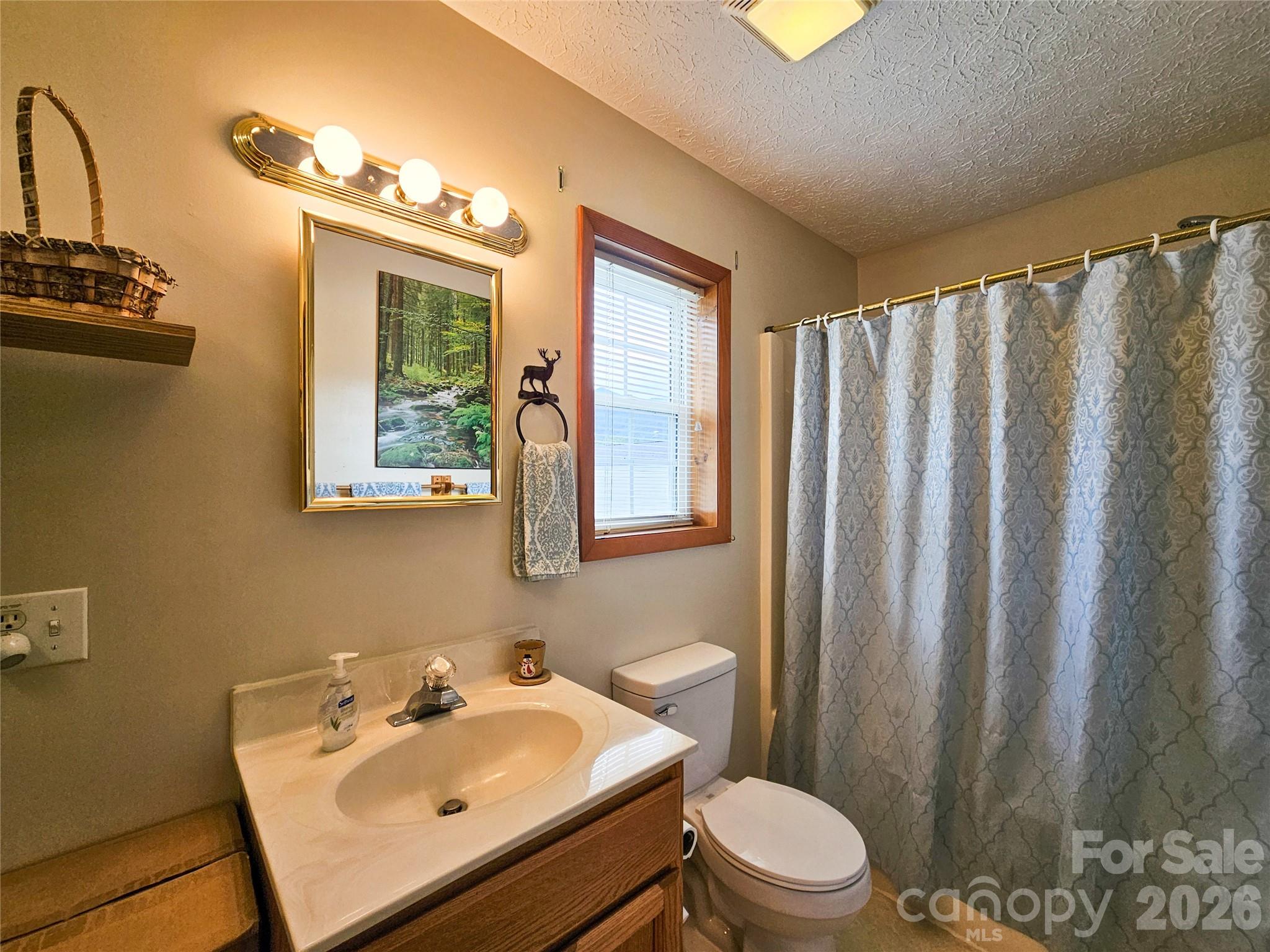 68 Strollers Lane — Waynesville
