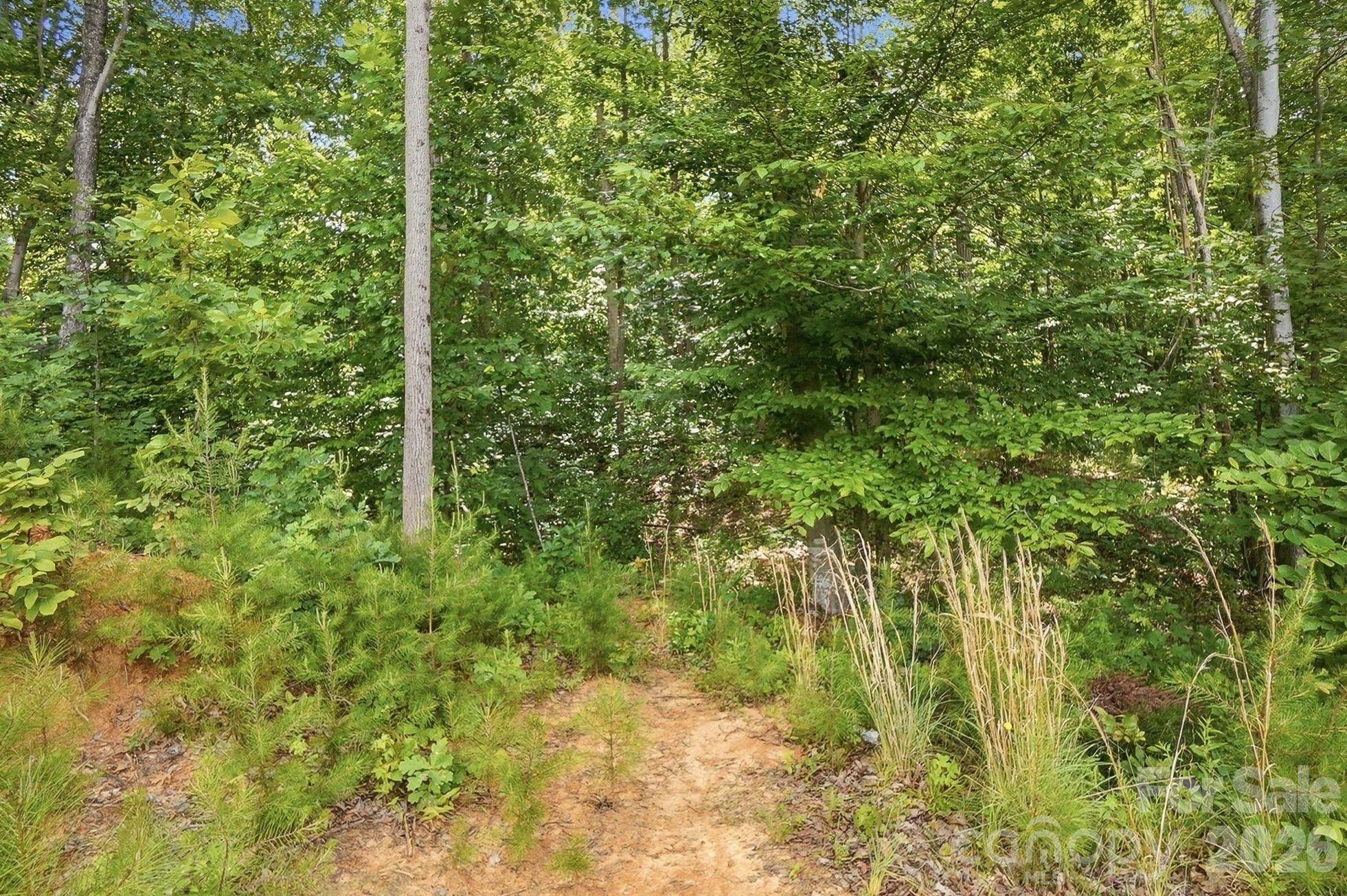 174 E Panther Creek Road — Troutman