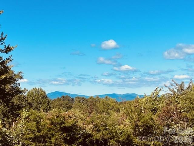 138 Woods End Road — Rutherfordton