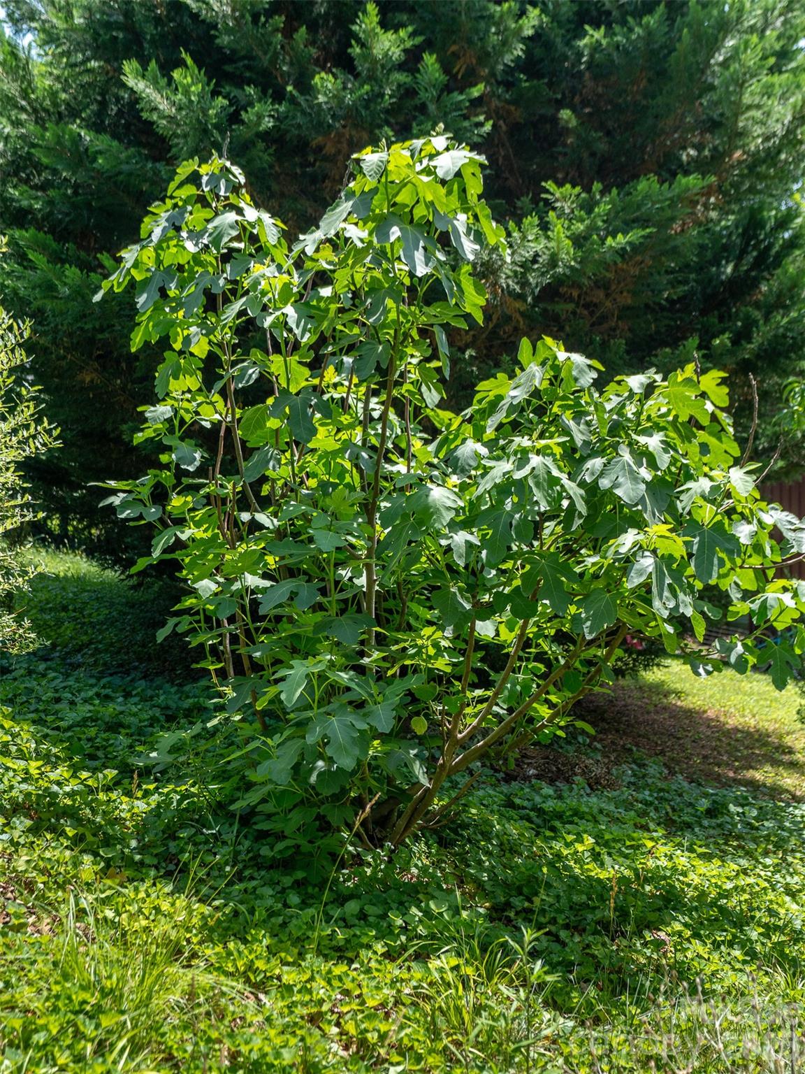 60 Mardell Circle — Asheville