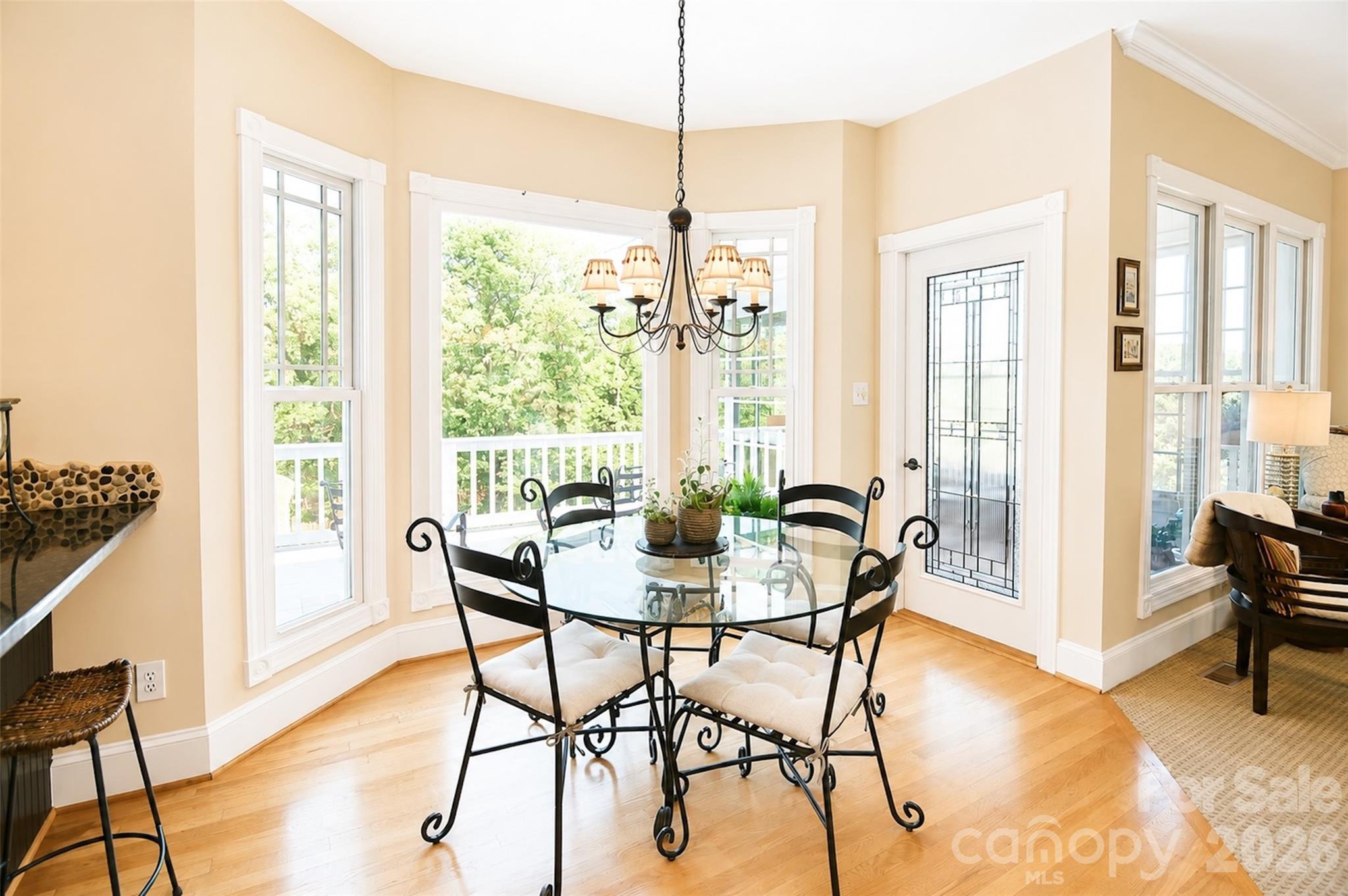 127 Vista Drive — Davidson