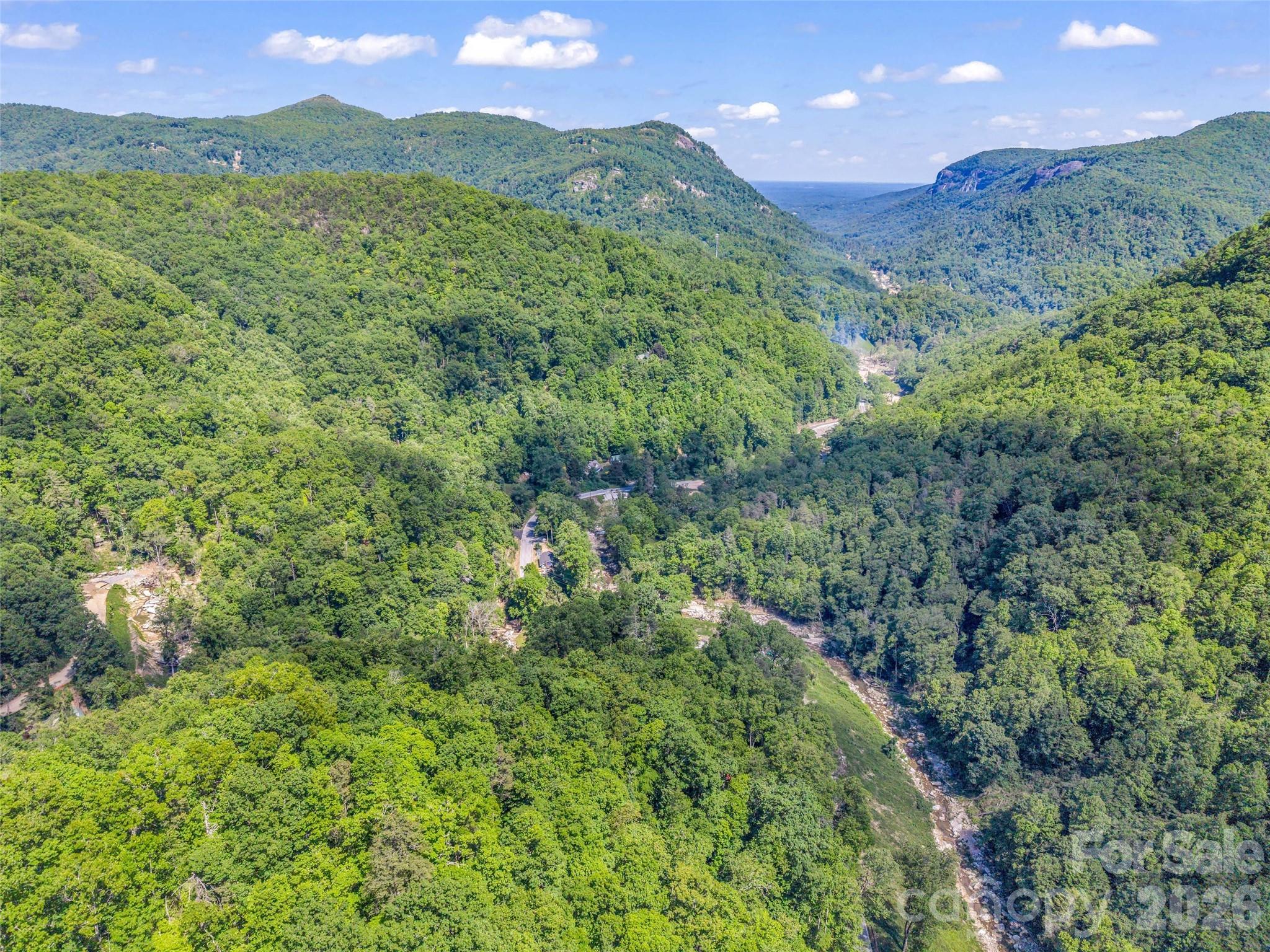 247 Legacy Layne Drive — Hendersonville