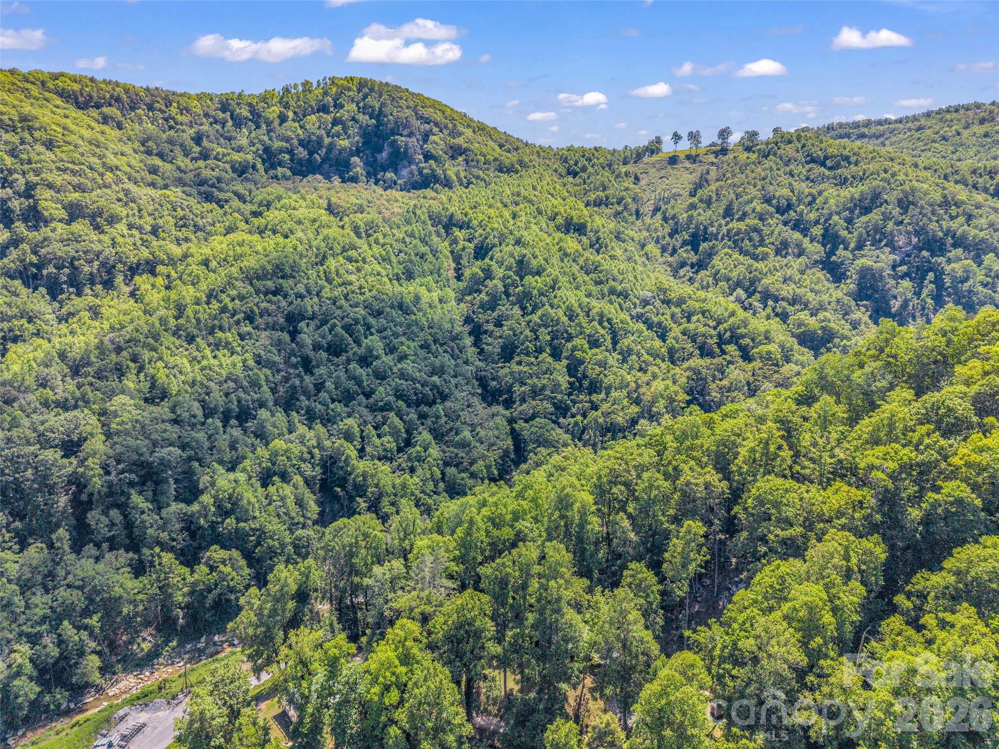 247 Legacy Layne Drive — Hendersonville