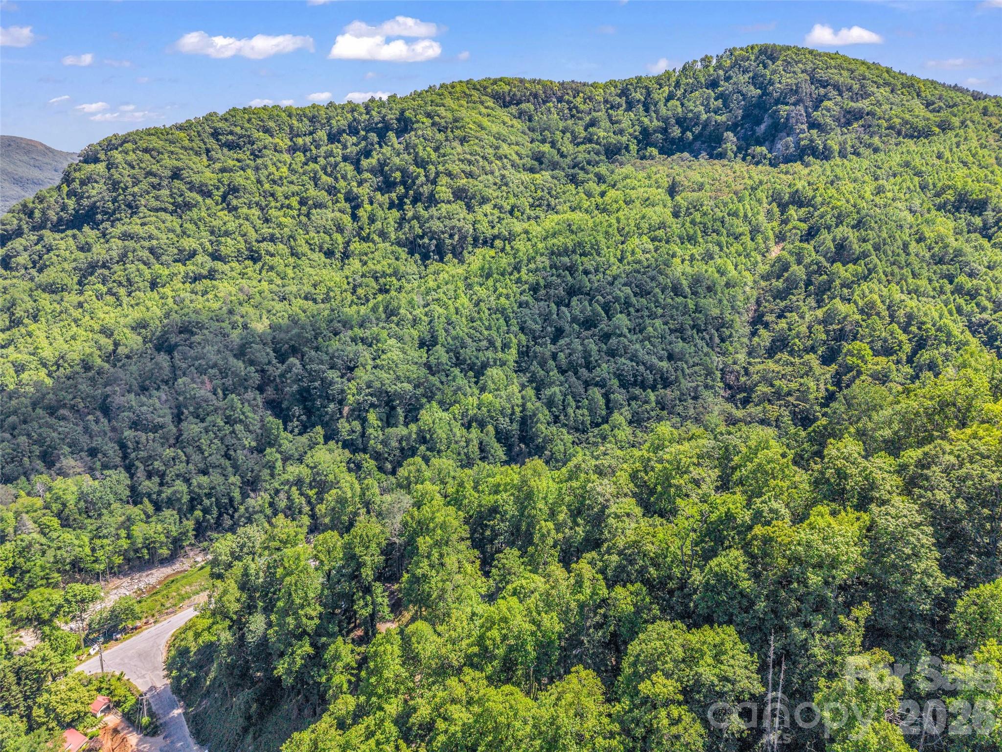 247 Legacy Layne Drive — Hendersonville
