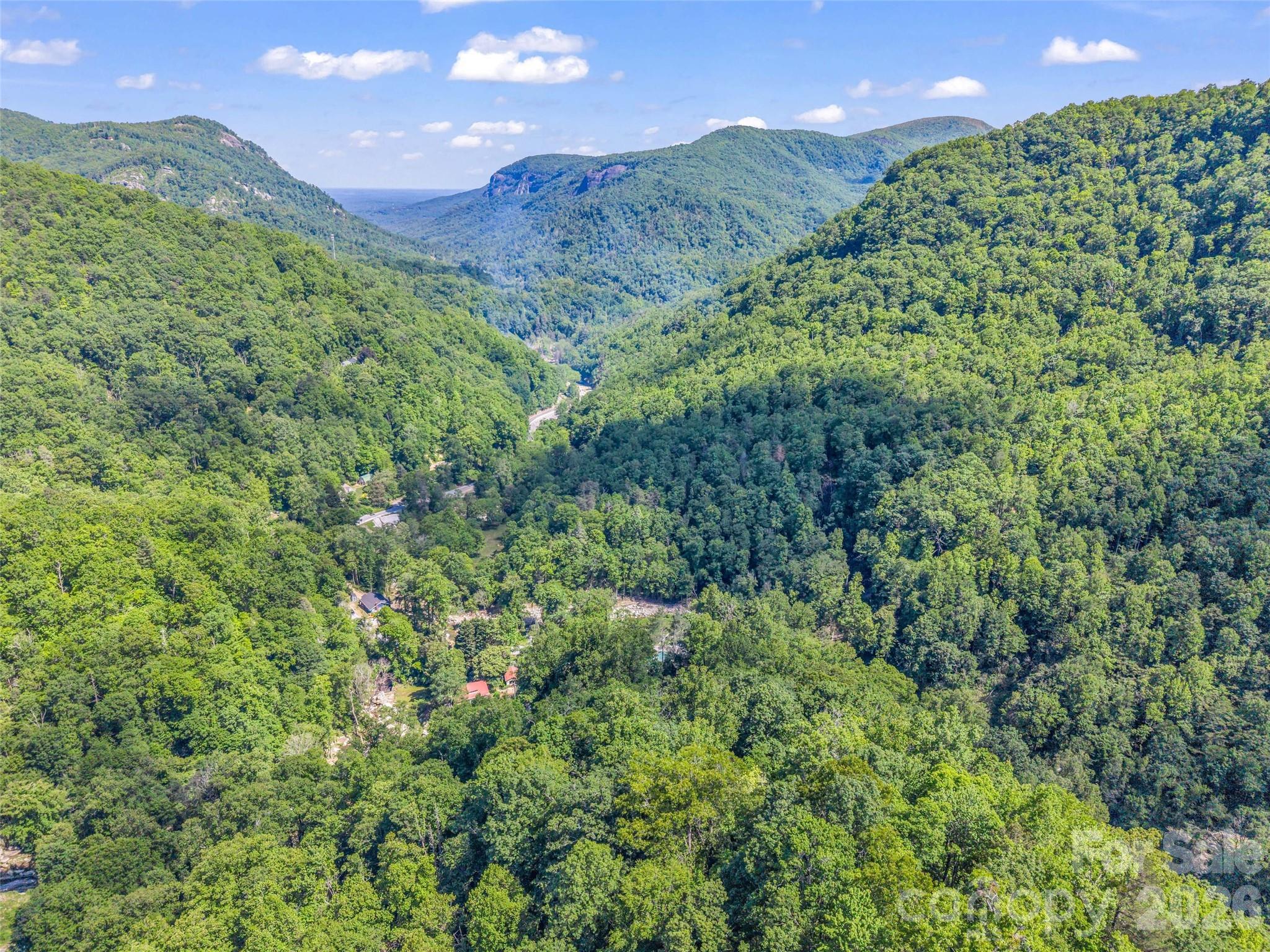 247 Legacy Layne Drive — Hendersonville