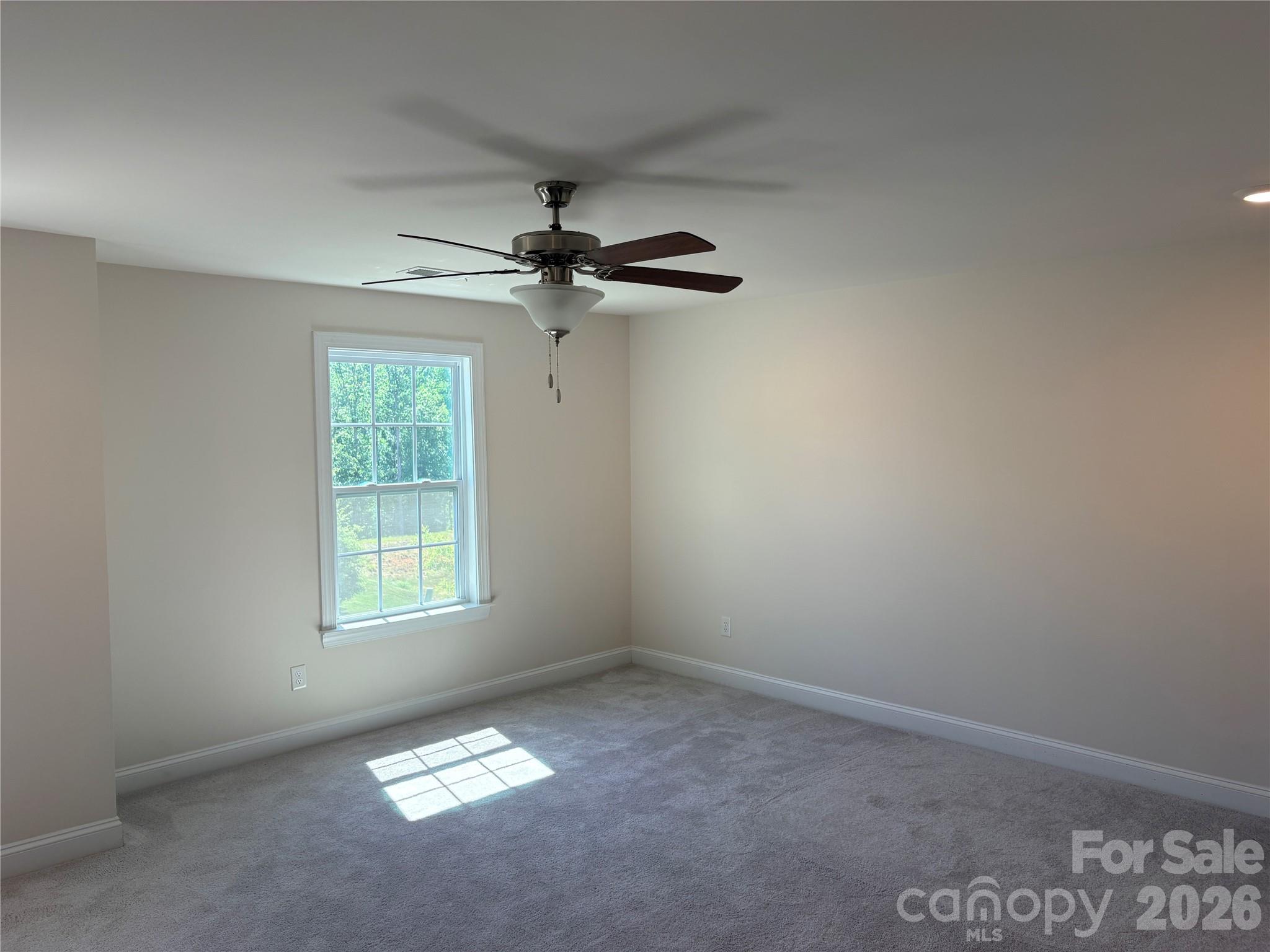 3346 Friendship Street — Fort Mill