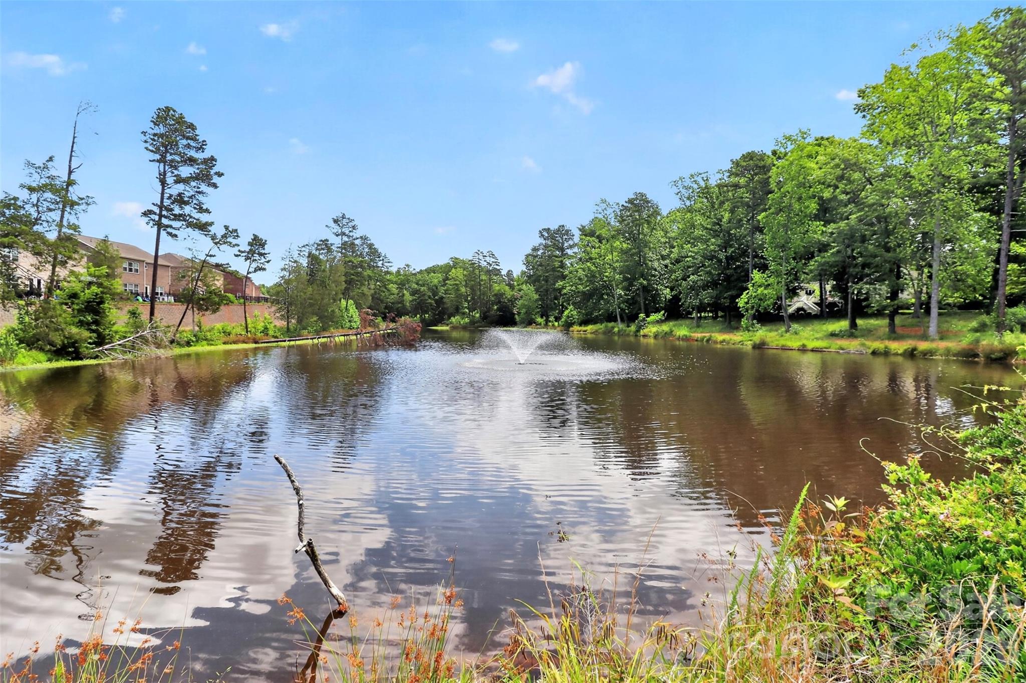 9134 Ramsford Court — Charlotte