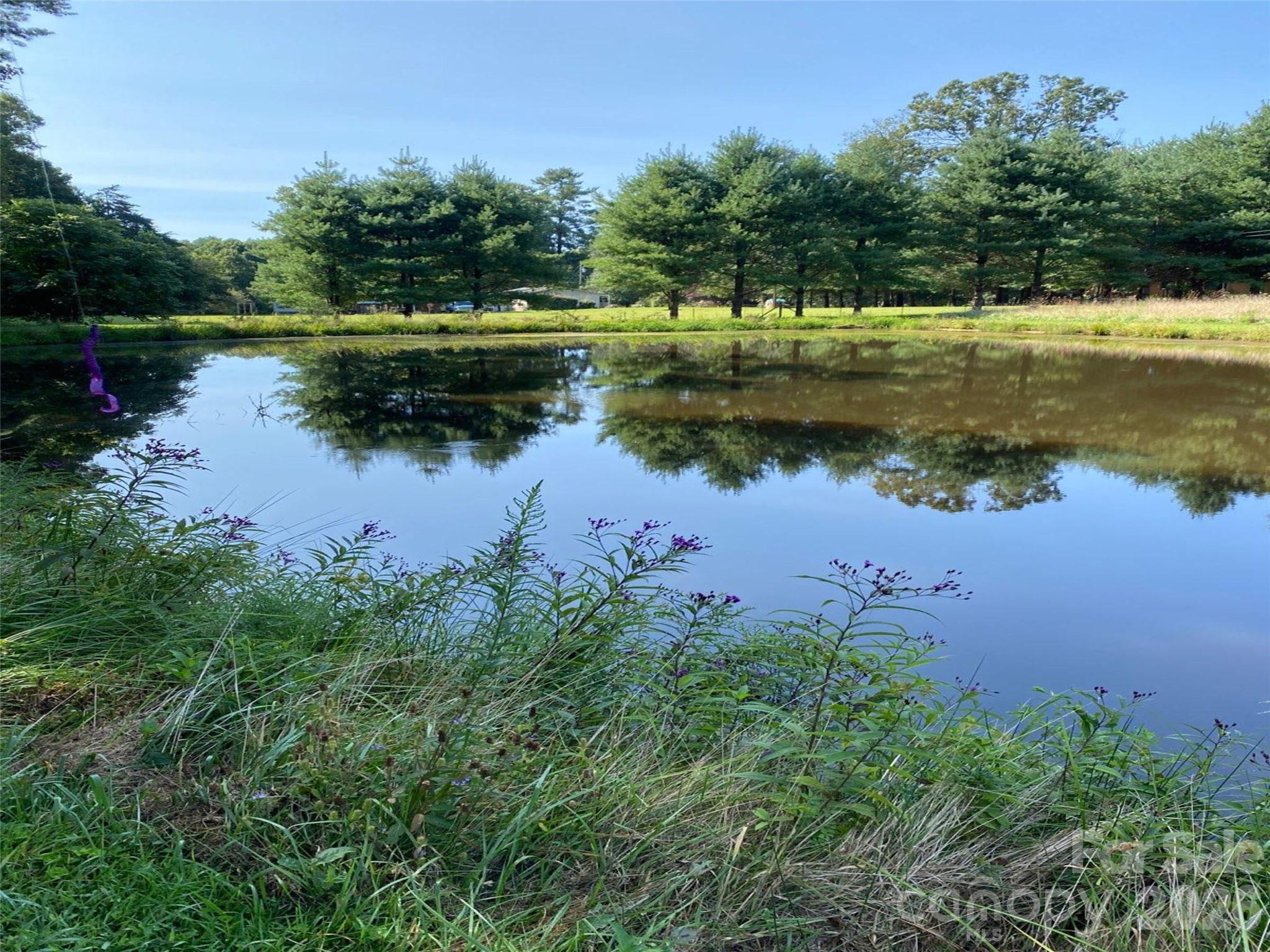 54 Old Lime Kiln Road — Arden