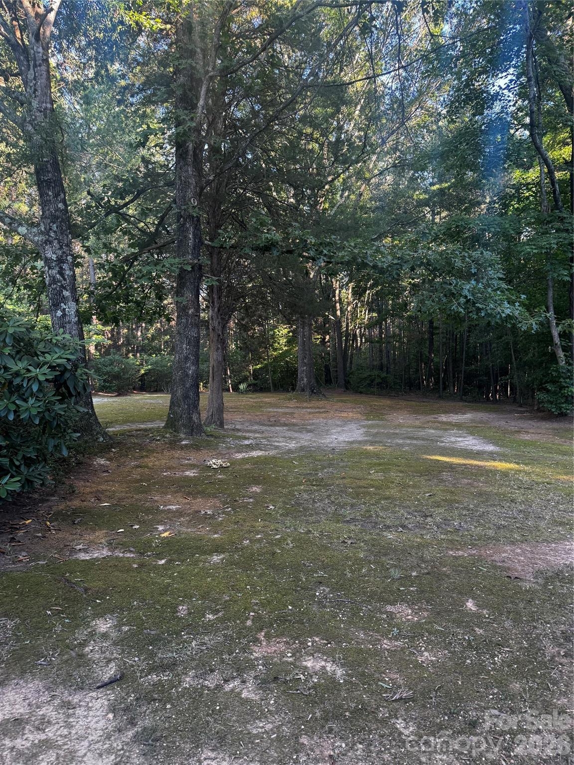 205 Aquila Lane — Rockwell