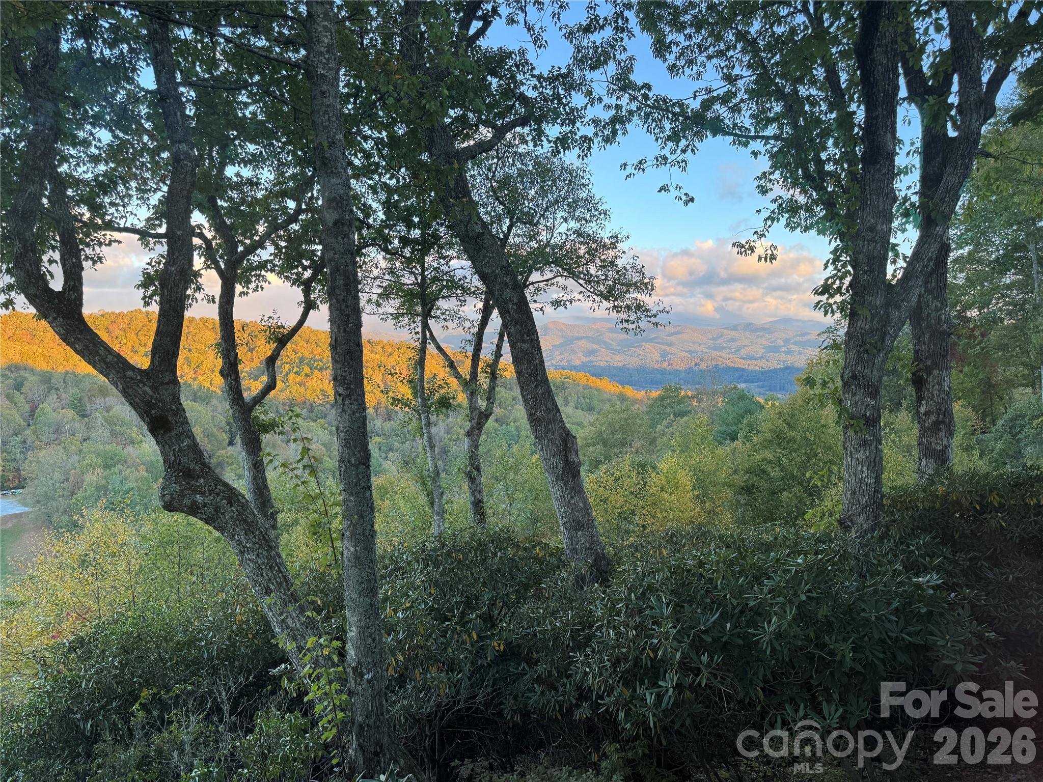 298 Tinequa Drive — Brevard