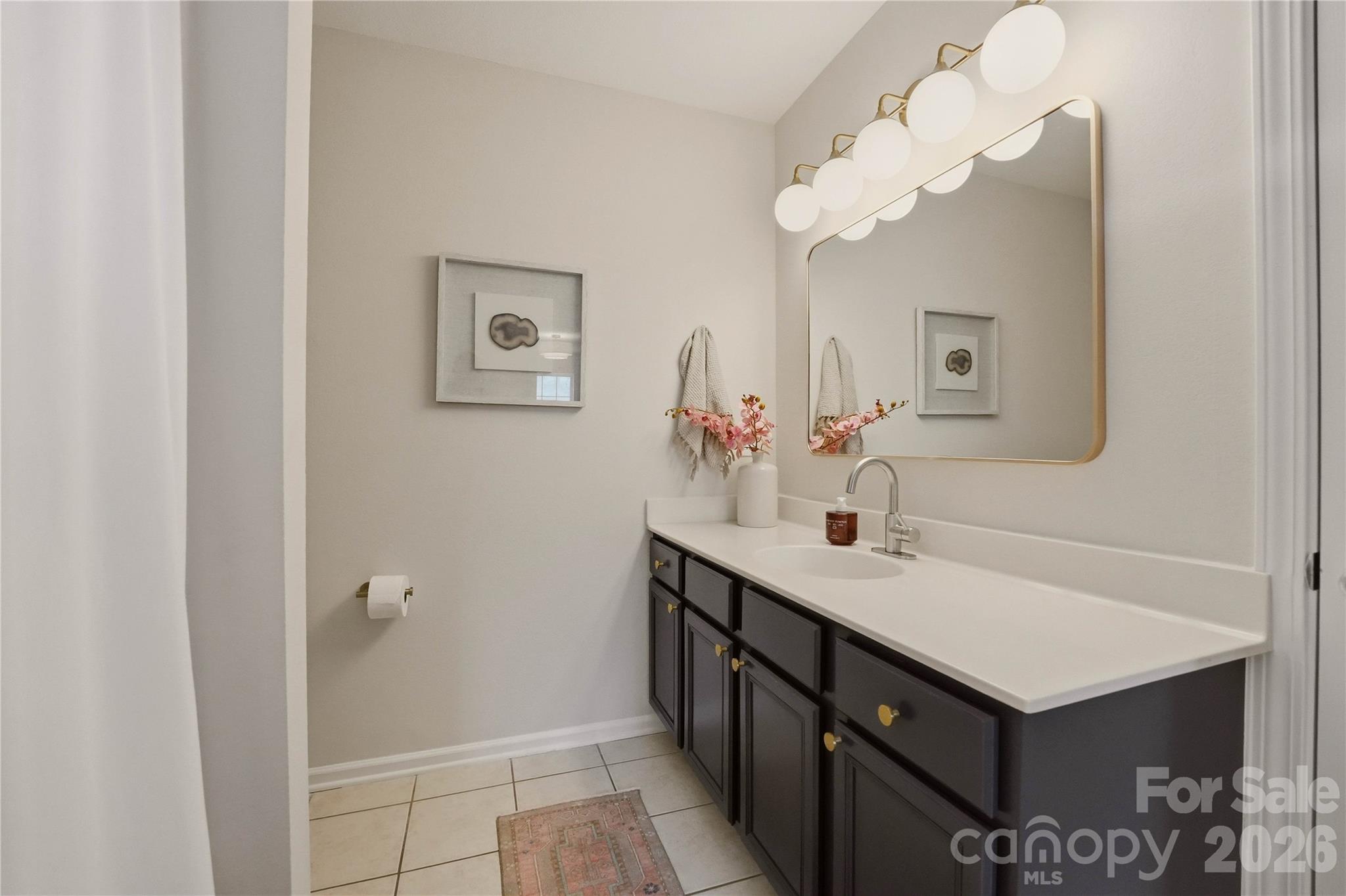 1514 Sylvia Court — Charlotte