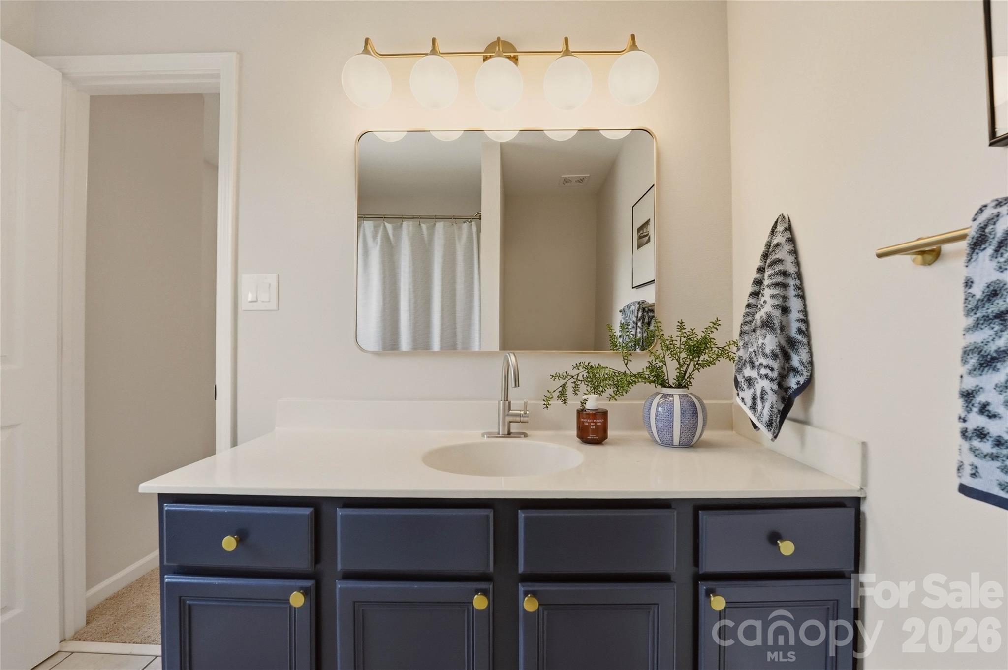 1514 Sylvia Court — Charlotte