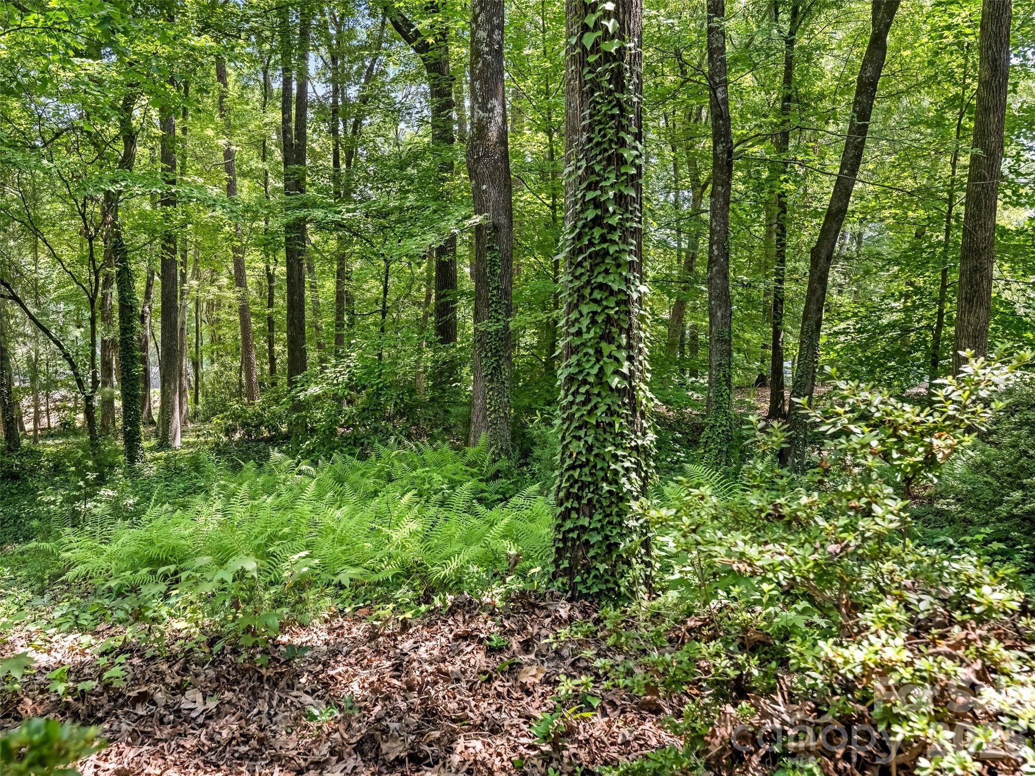 350 Shasta Lane — Charlotte