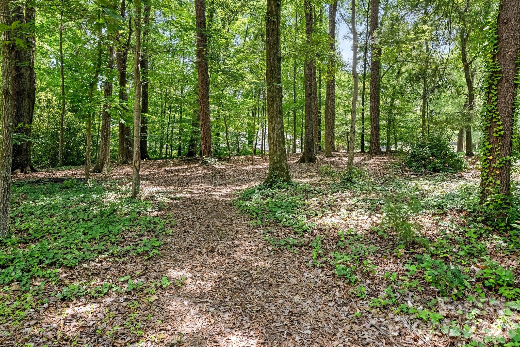 350 Shasta Lane — Charlotte