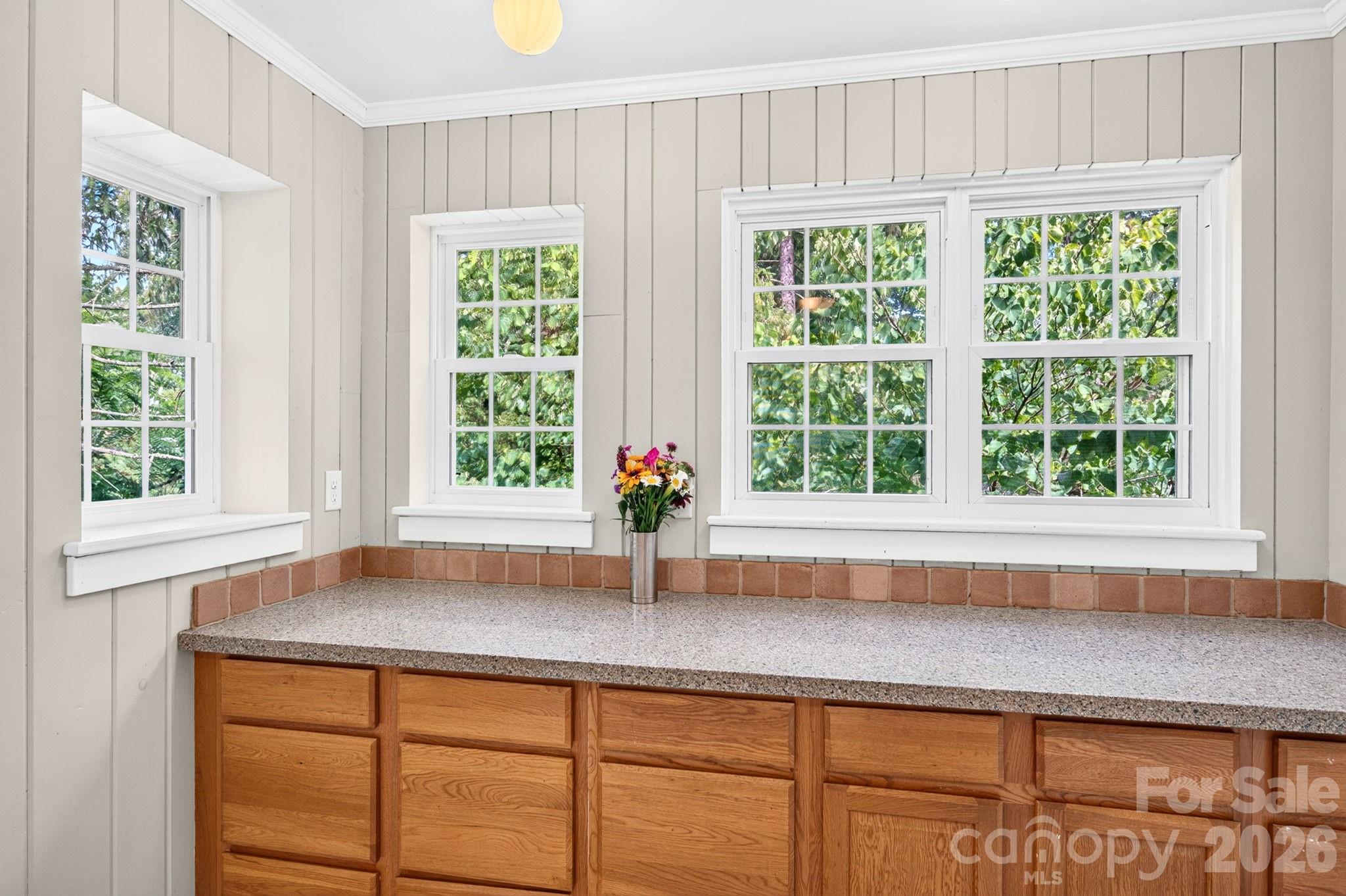 28 Chatham Road — Asheville