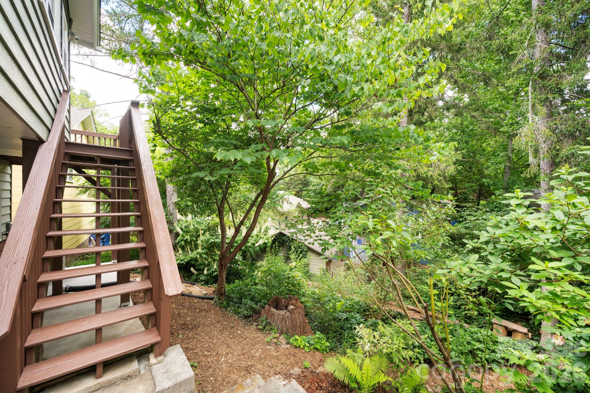 28 Chatham Road — Asheville