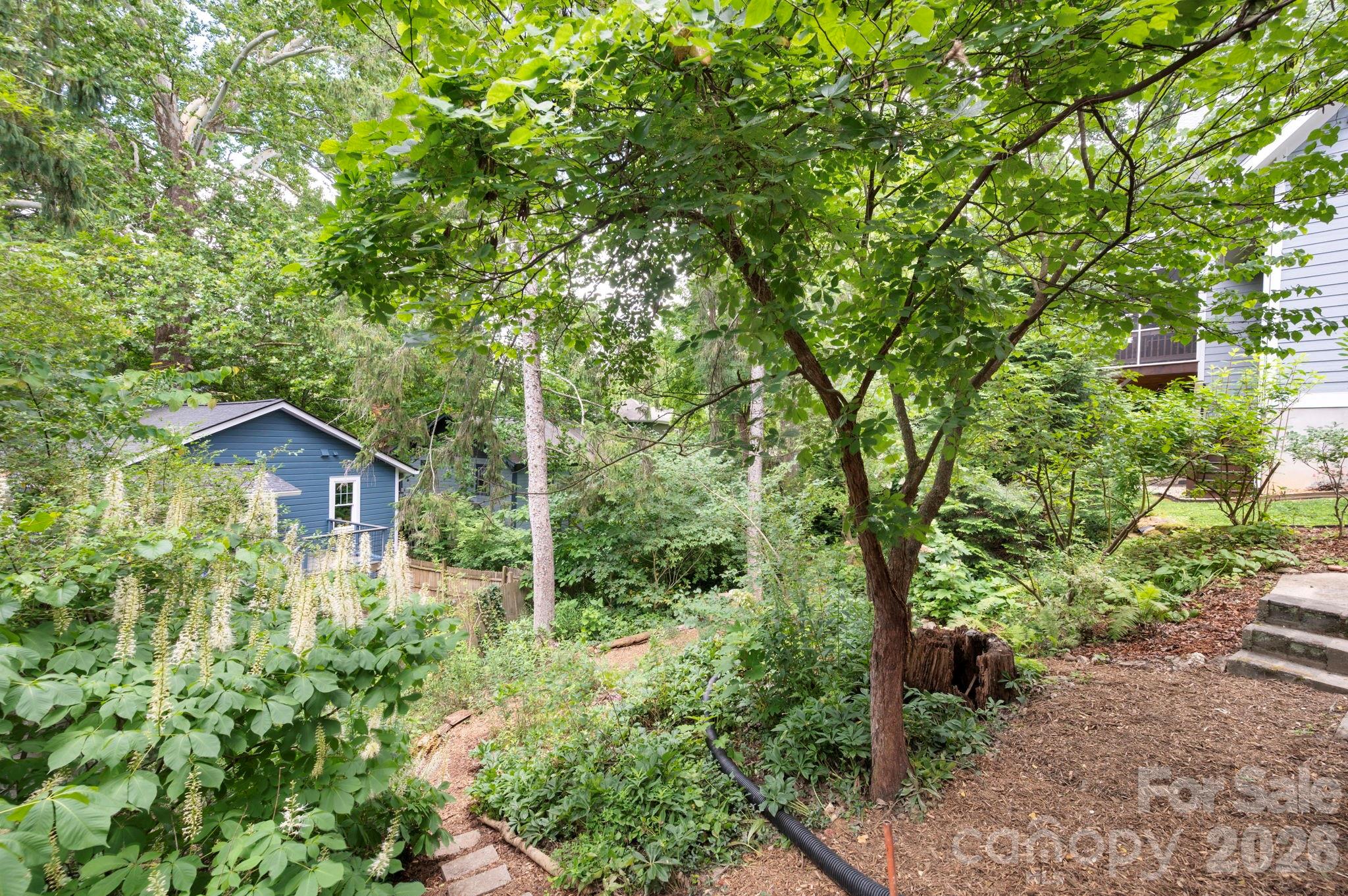 28 Chatham Road — Asheville