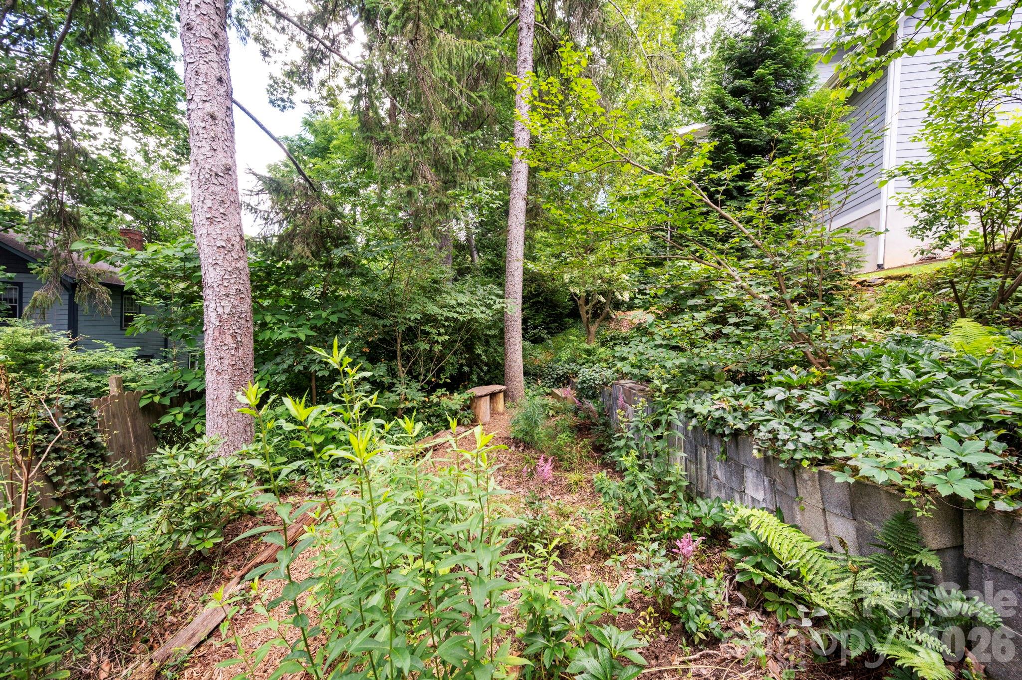 28 Chatham Road — Asheville