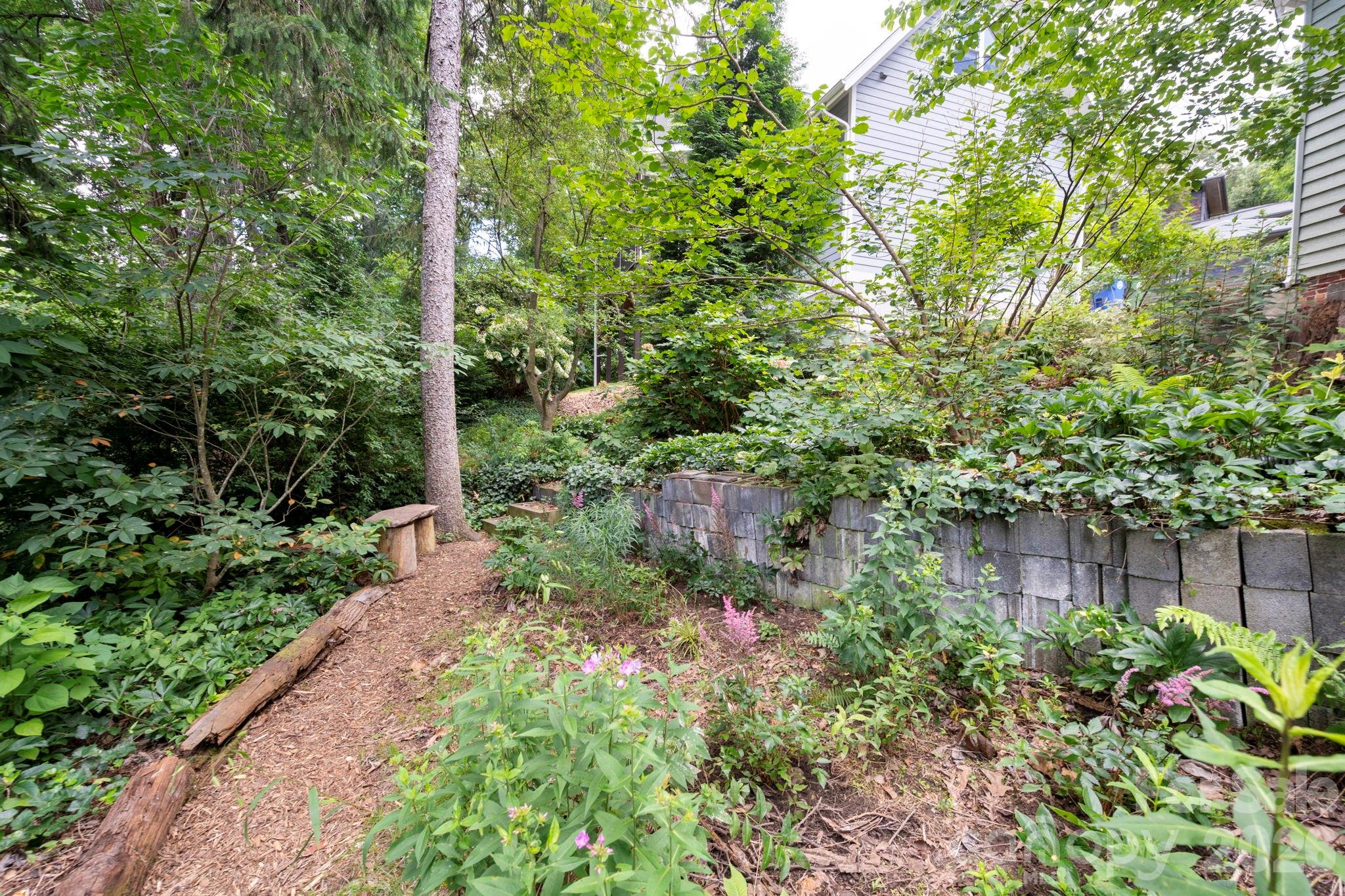 28 Chatham Road — Asheville