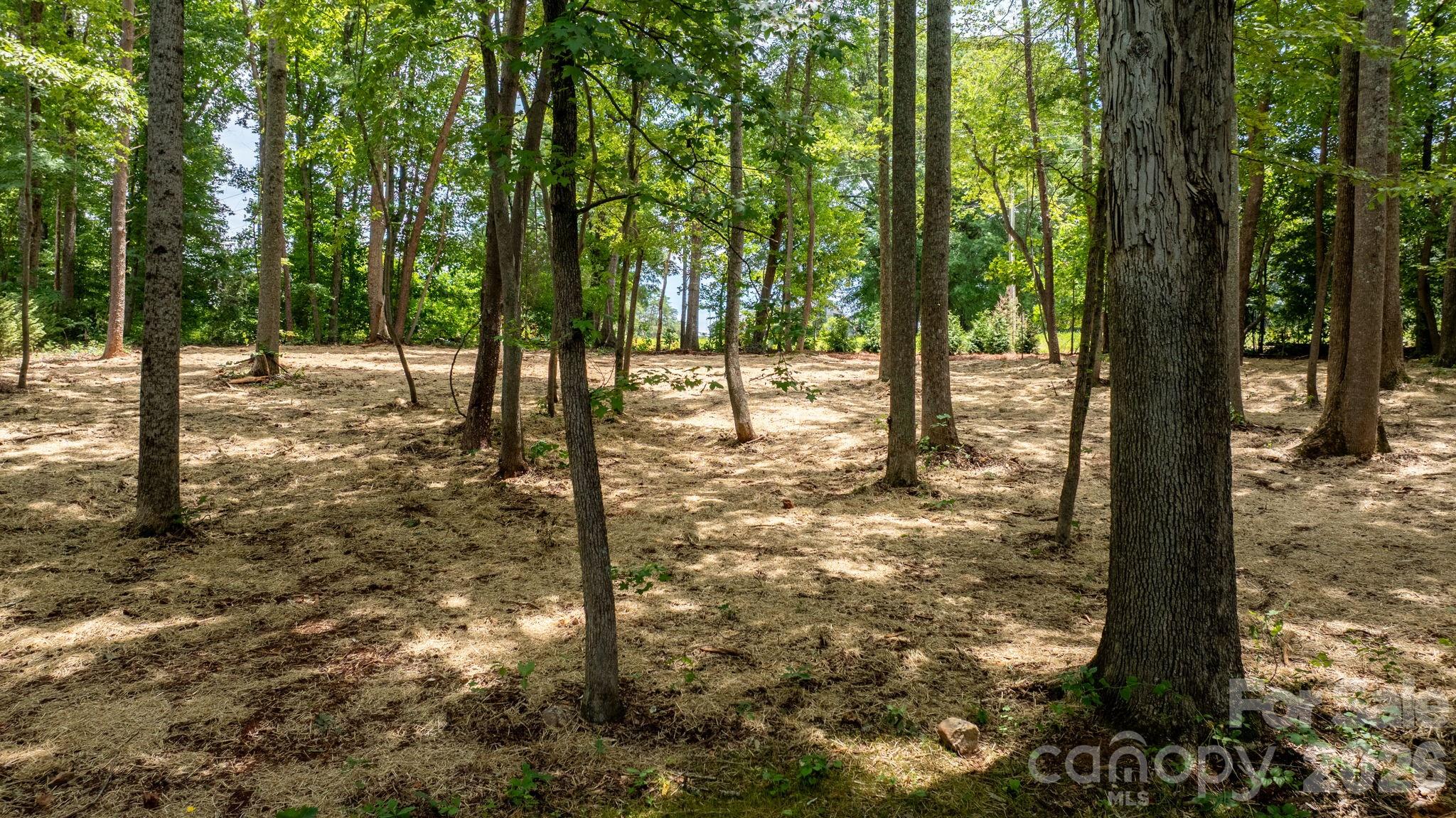 3528 Waterview Trail — Lincolnton