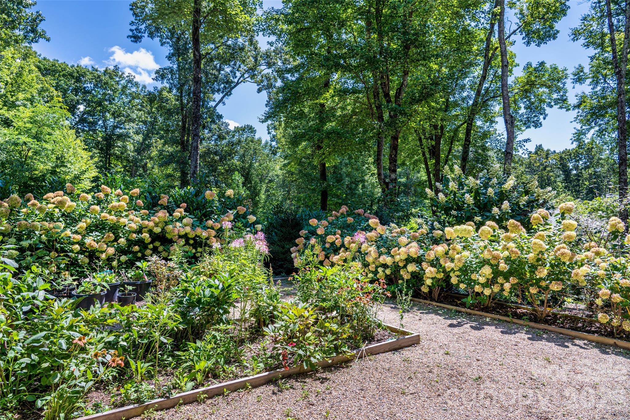 442 Autumn Sky Drive — Hendersonville