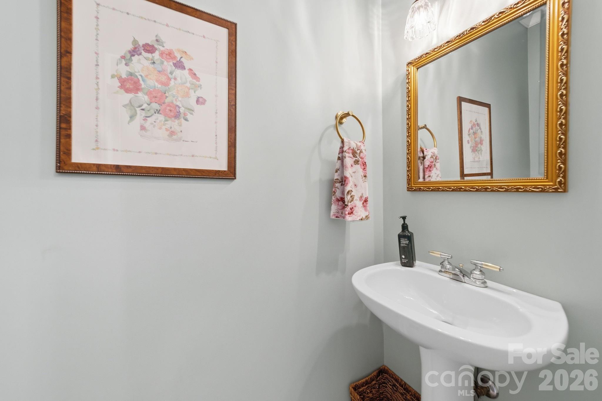 10203 Rougemont Lane — Charlotte