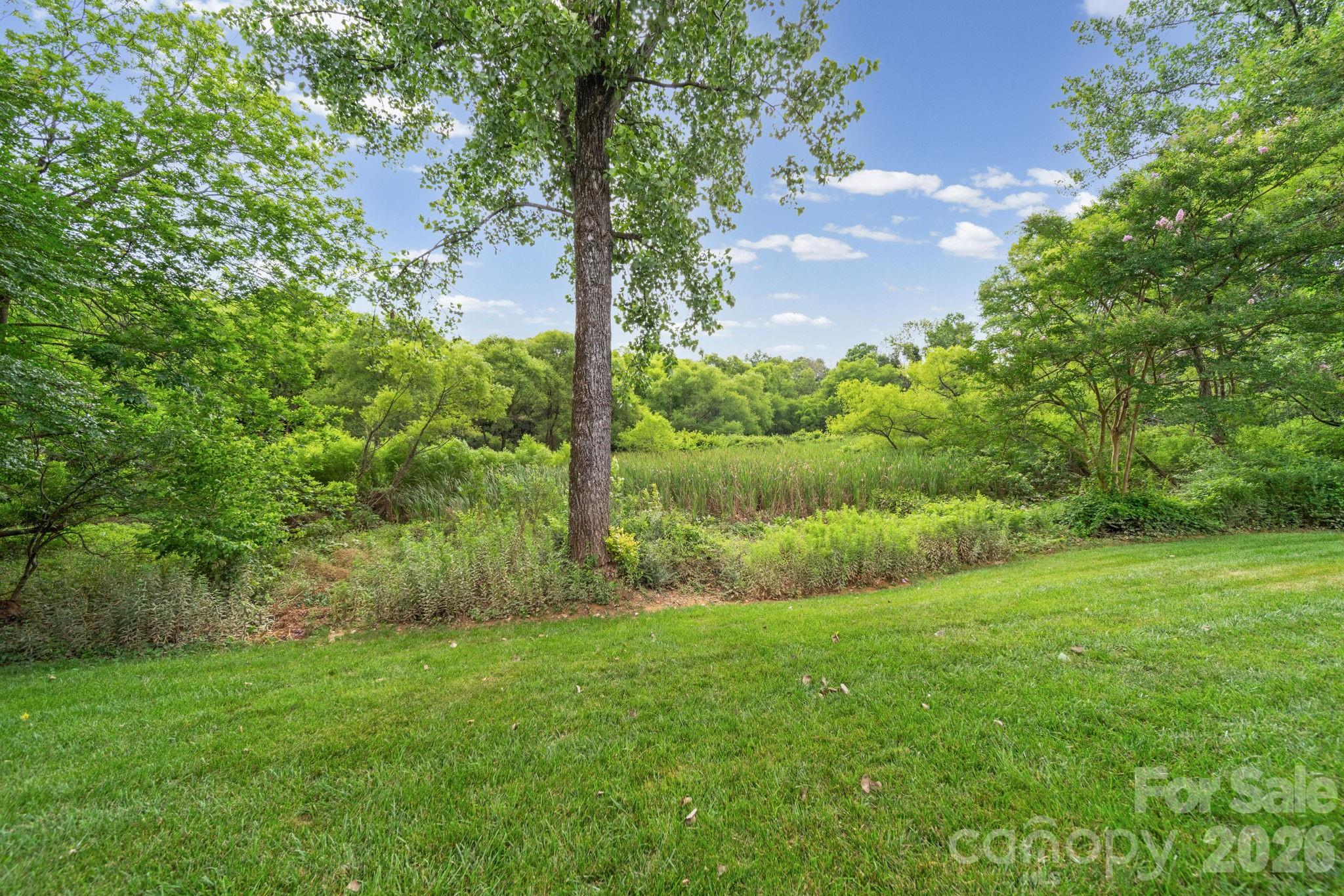 10203 Rougemont Lane — Charlotte