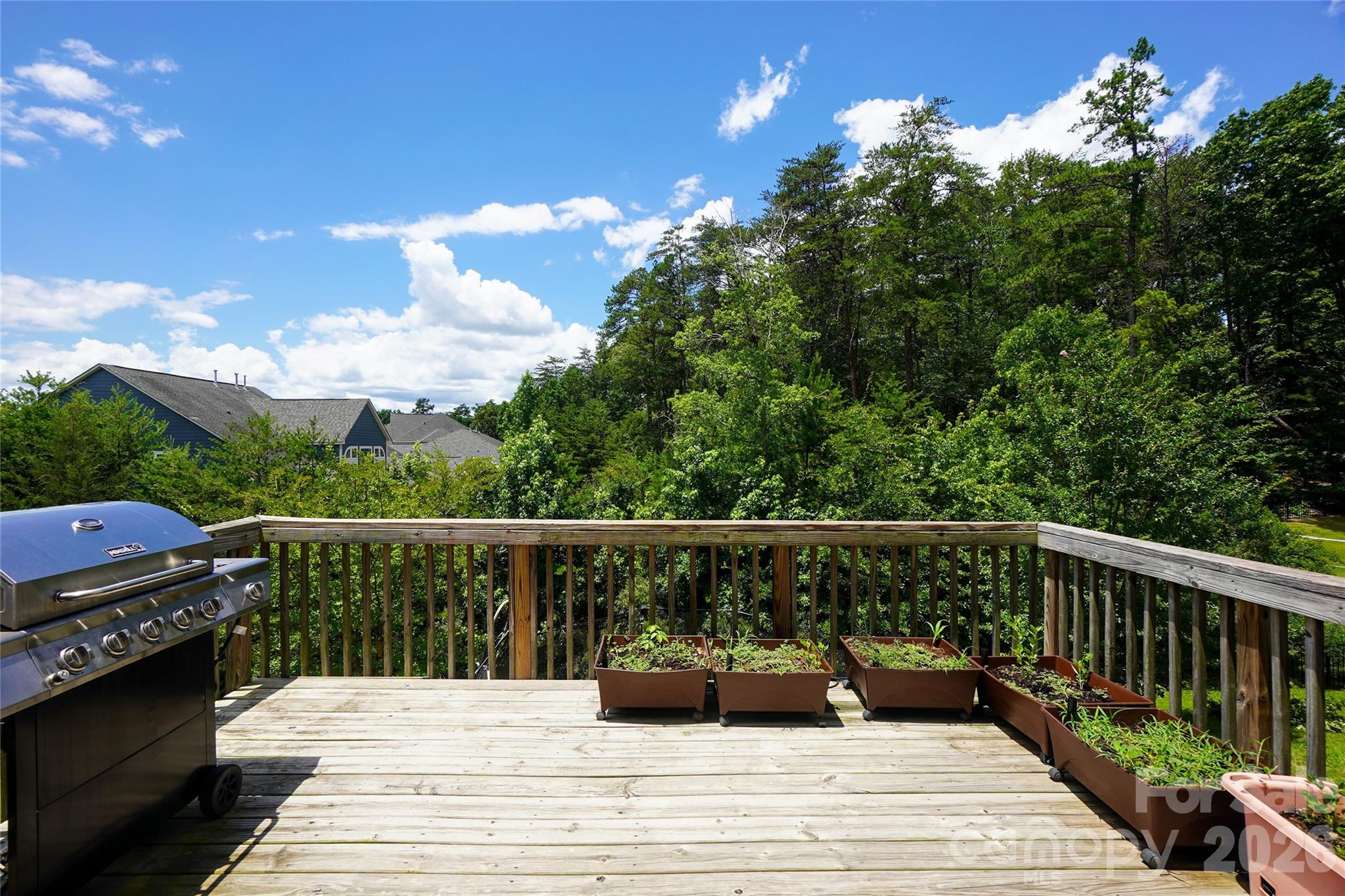 1238 Stonecrest Boulevard — Fort Mill