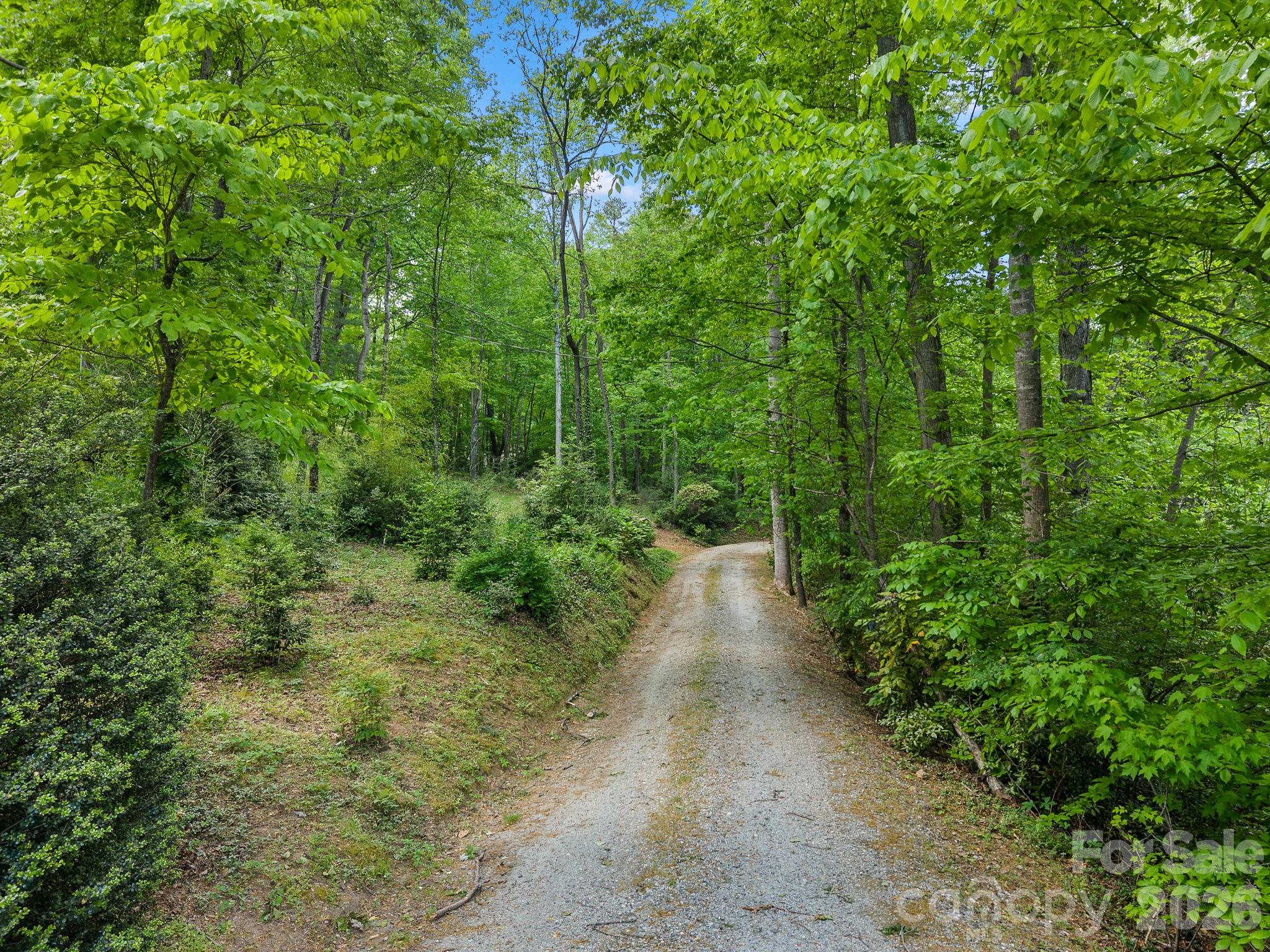 41 Red Bird Road — Tryon