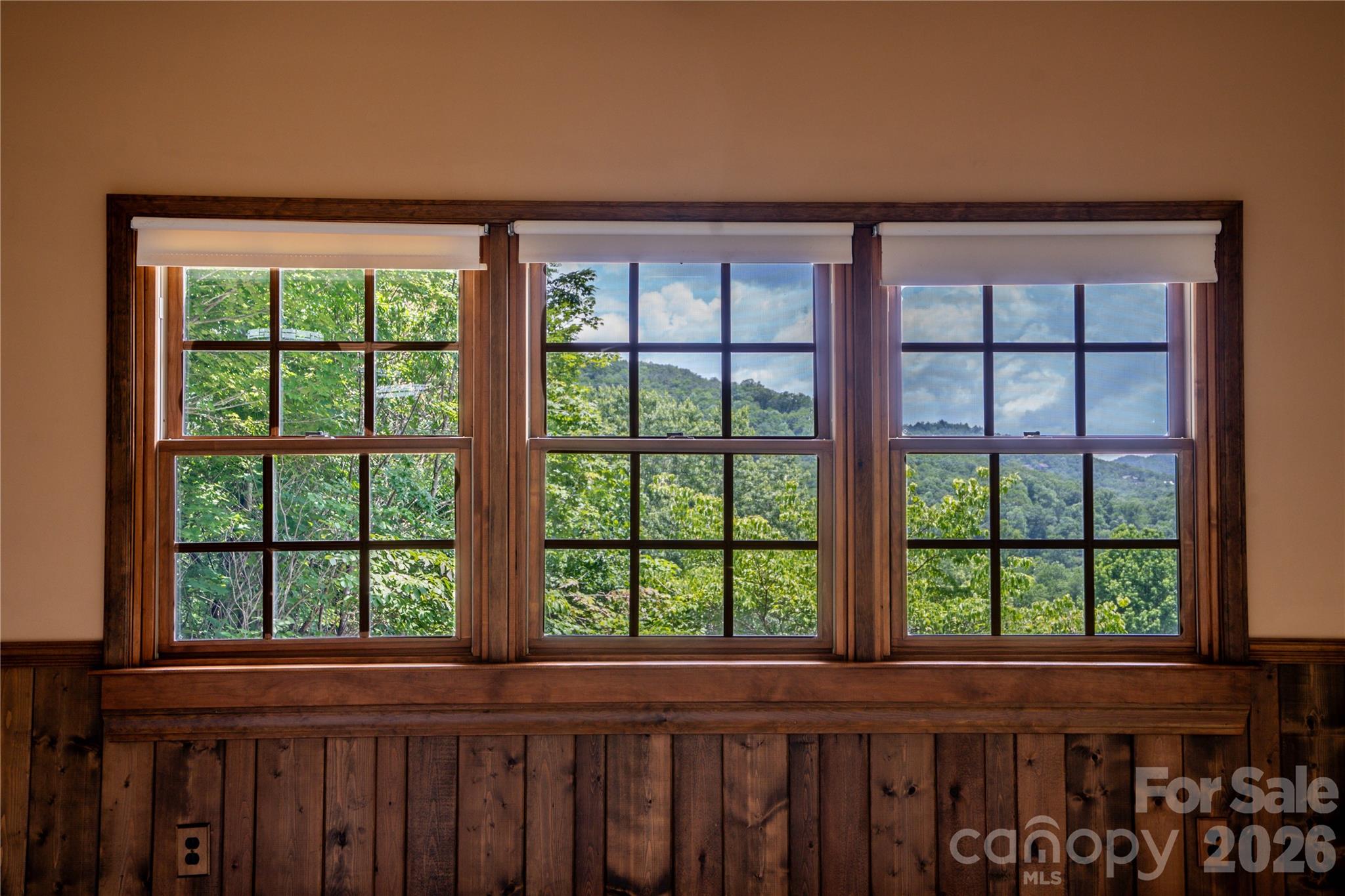45 Mountain View Avenue — Black Mountain