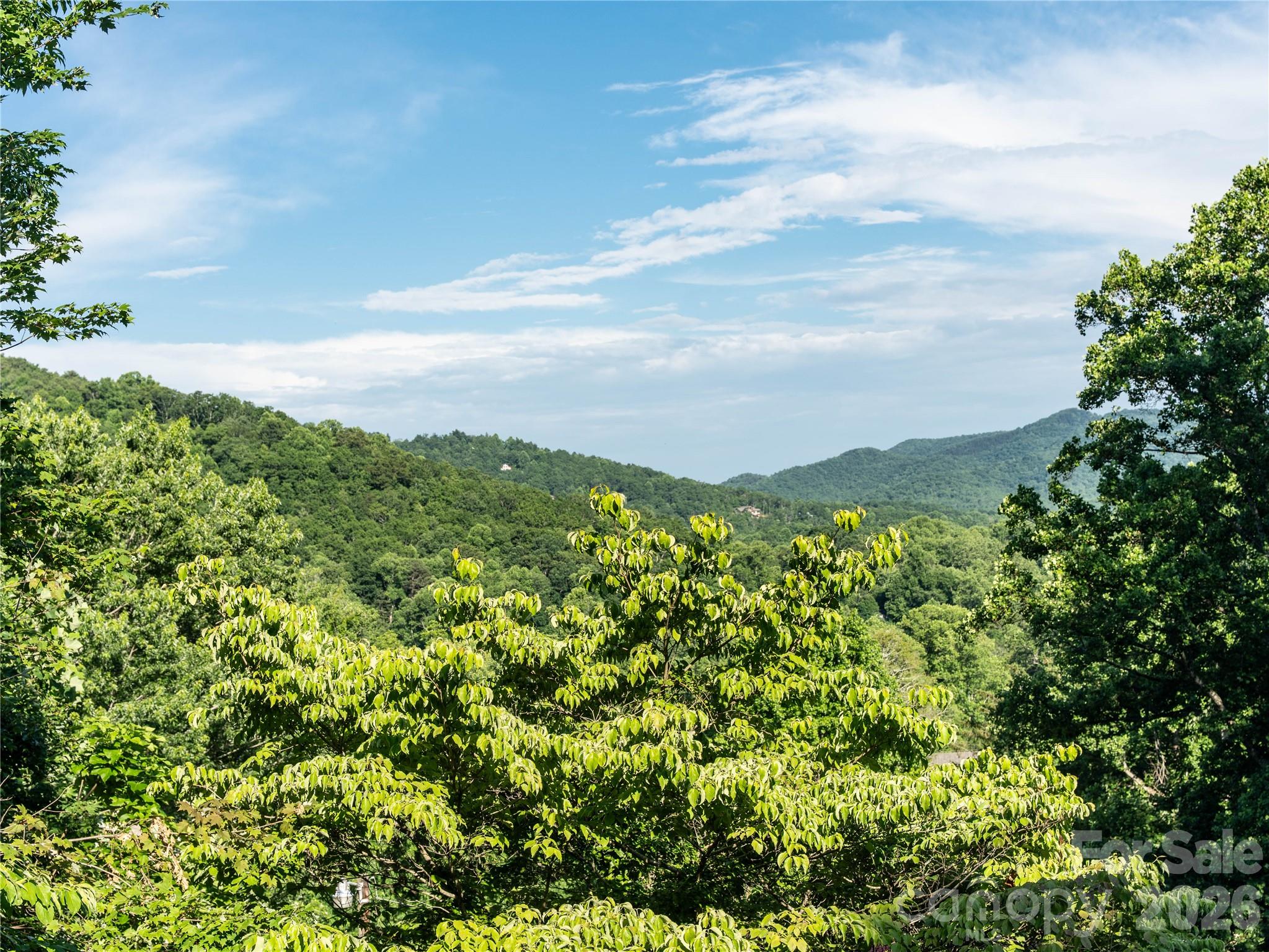 45 Mountain View Avenue — Black Mountain