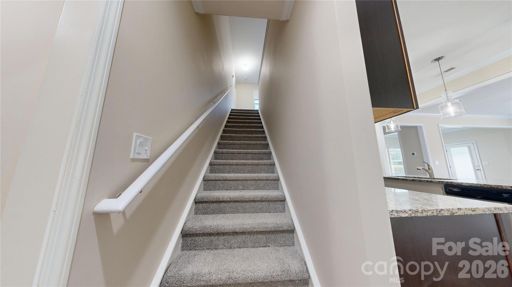 447 Tayberry Lane — Fort Mill